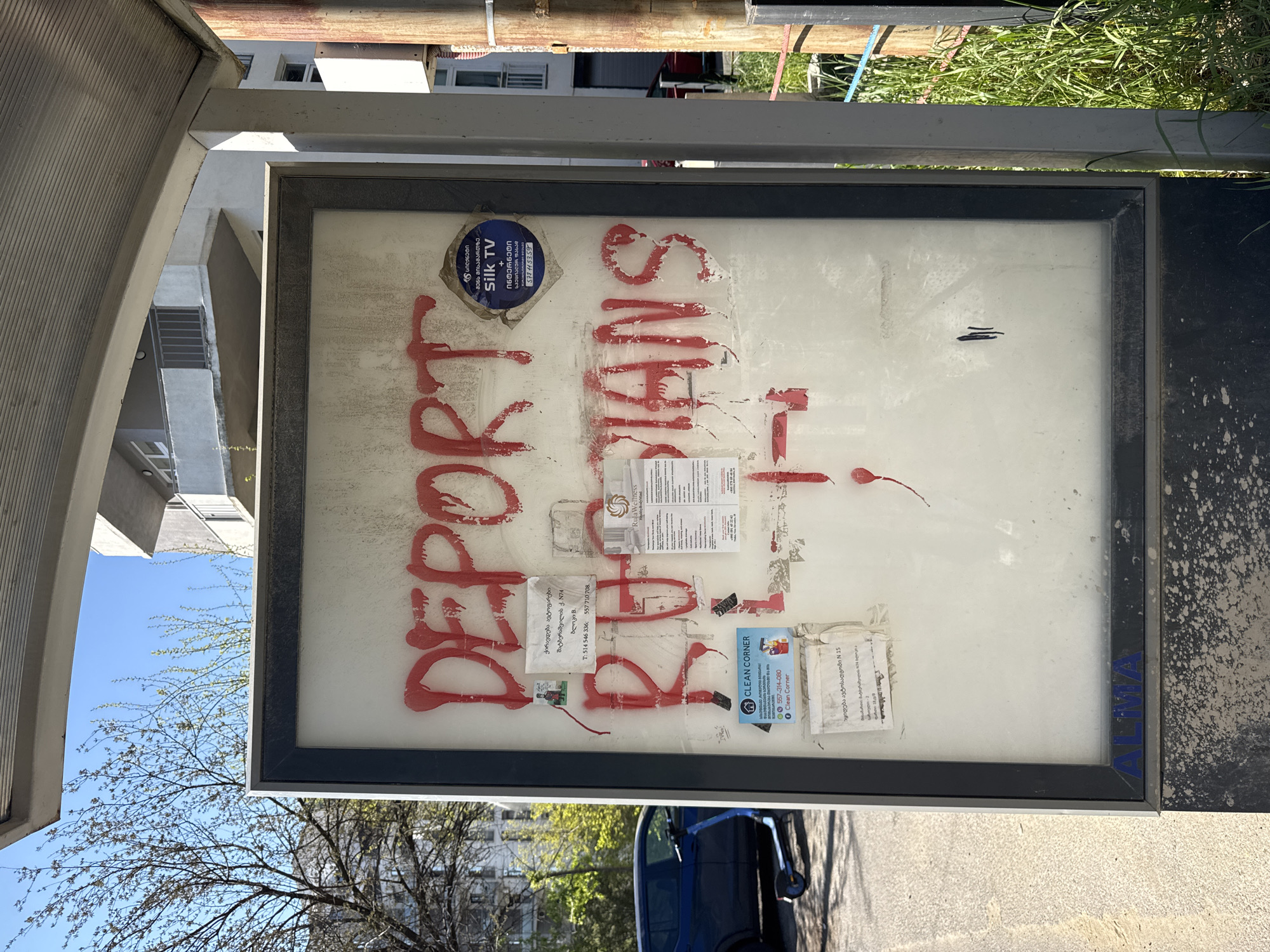 Early morning scenes documented in Tbilisi include graffiti, resting dog
