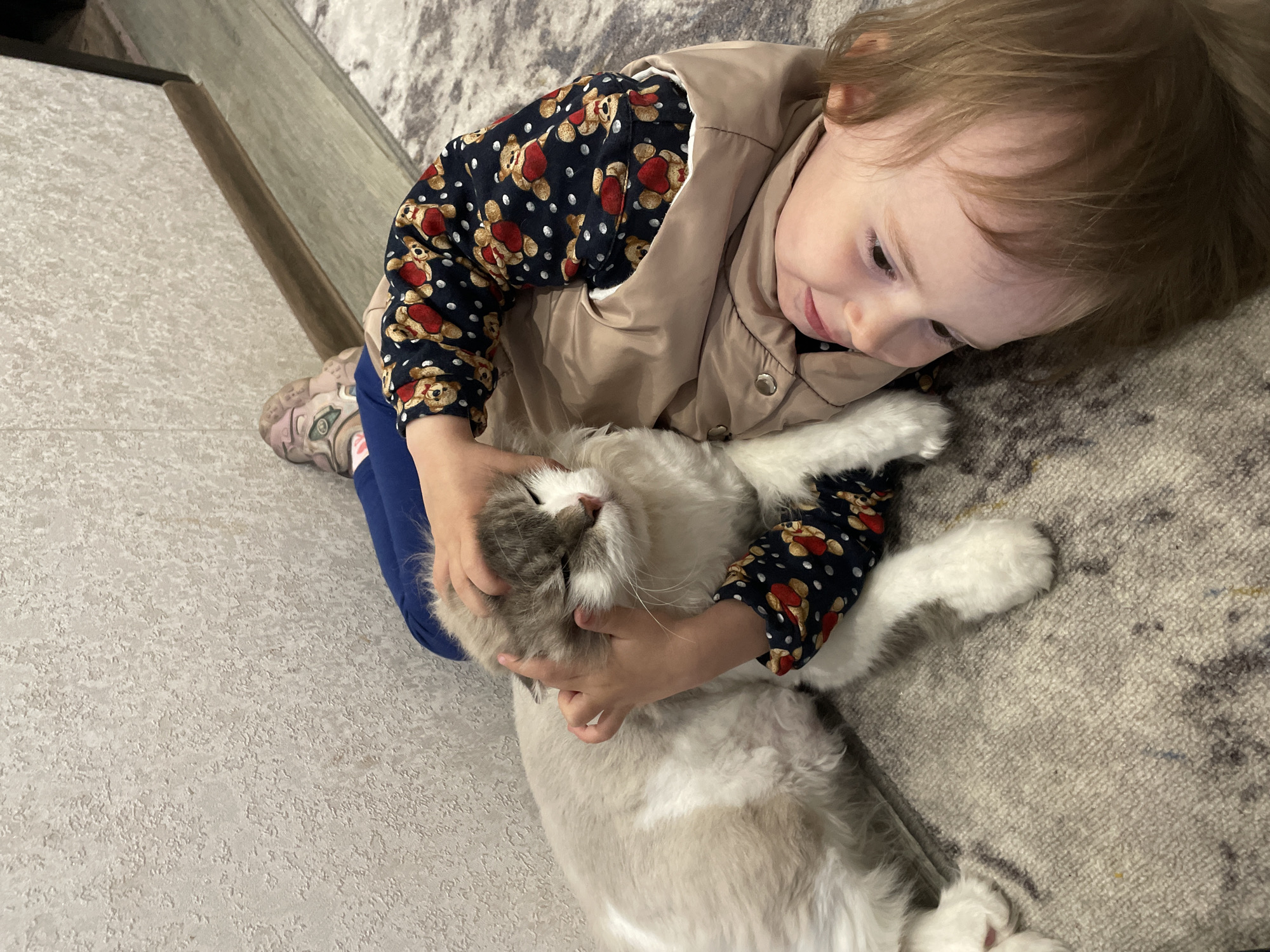 Toddler and cat share quiet moment on rug in Vladivostok