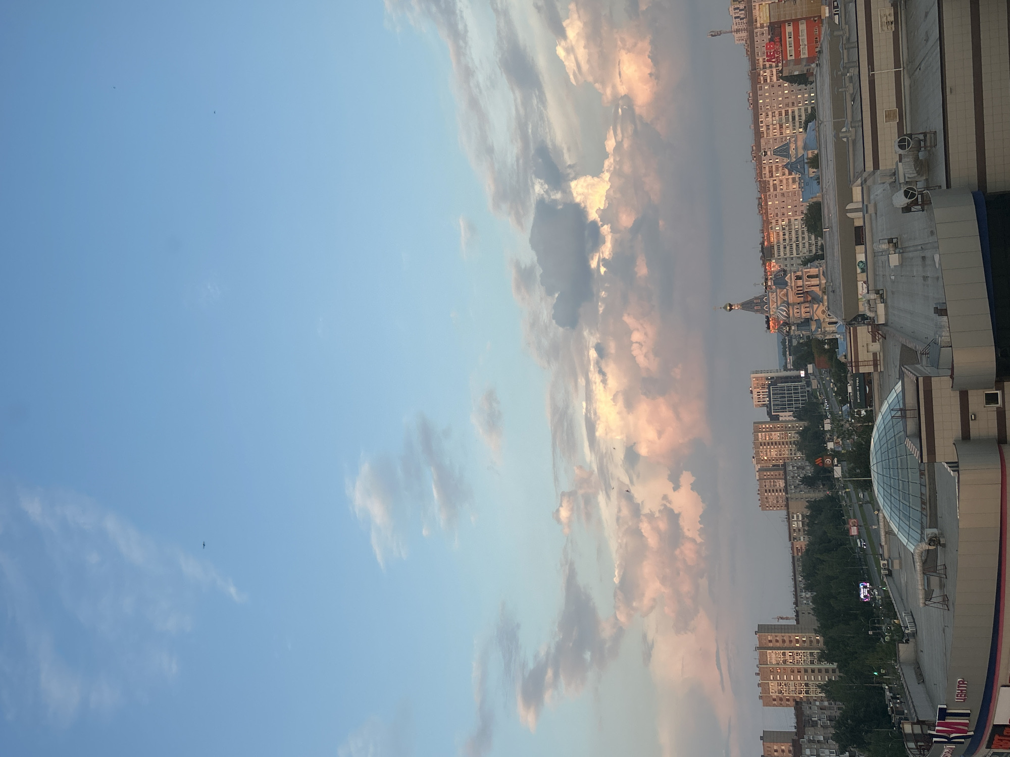 Cat care and sunset views during evening in Izhevsk