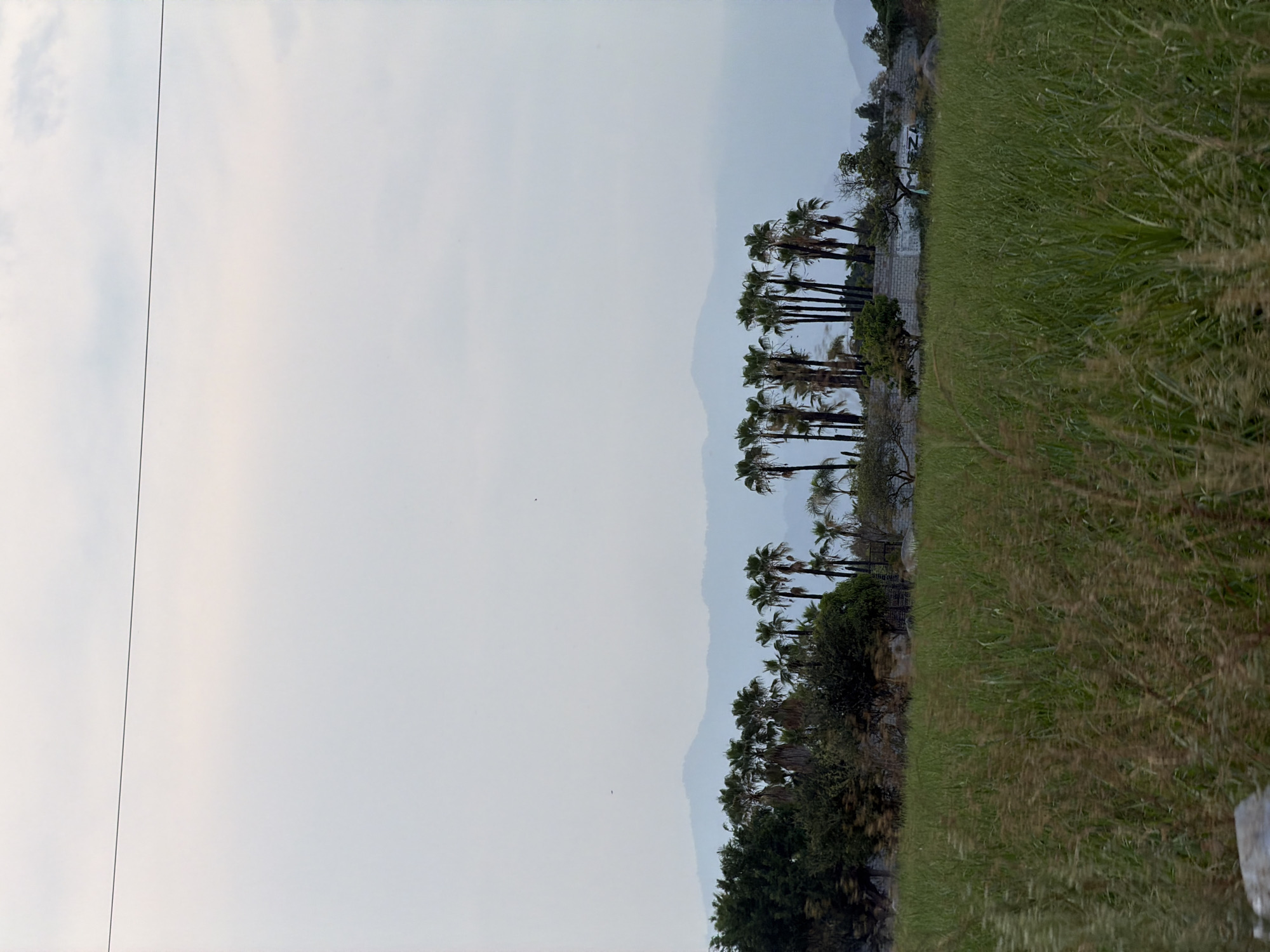 Landscape scene documented in Cuautla, Mexico showing vegetation, mountains