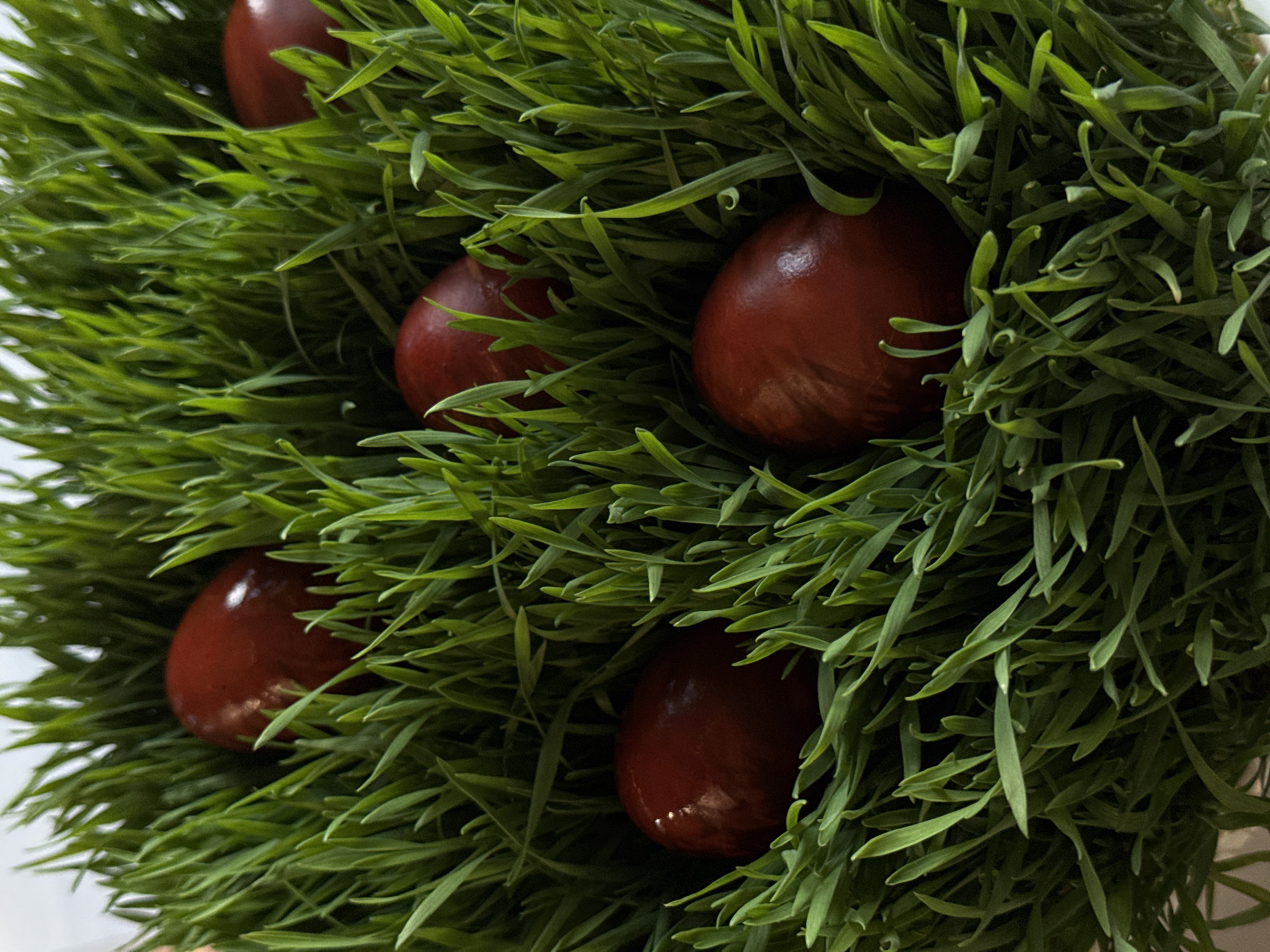 Easter food preparations documented in Armenian village