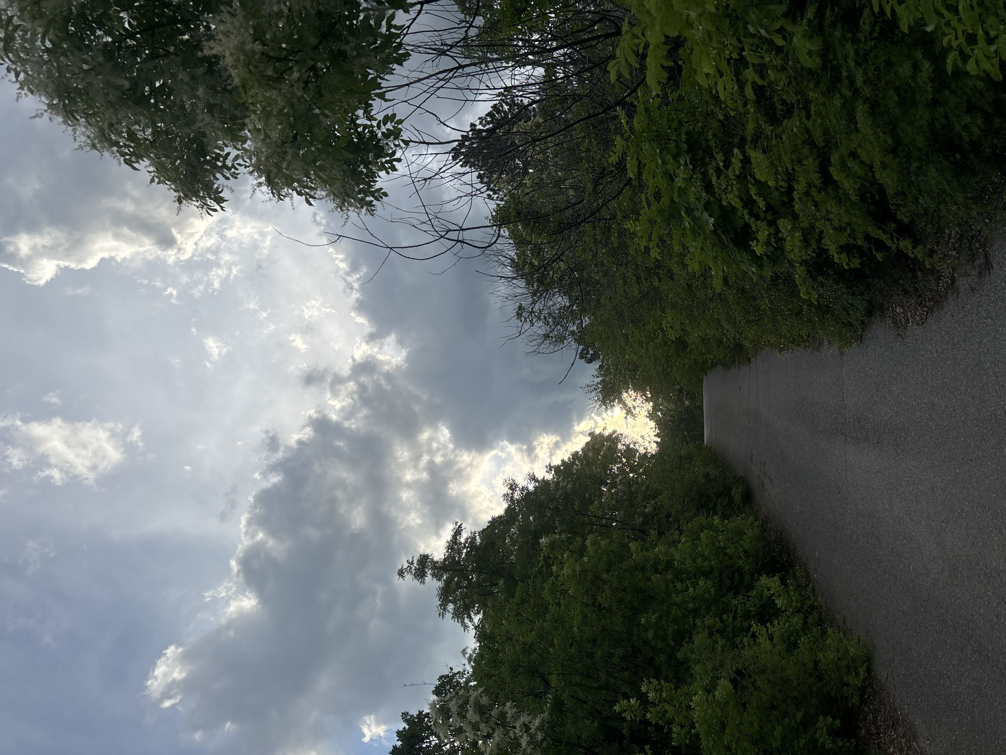 Overcast afternoon documented at park with monument and tree-lined road