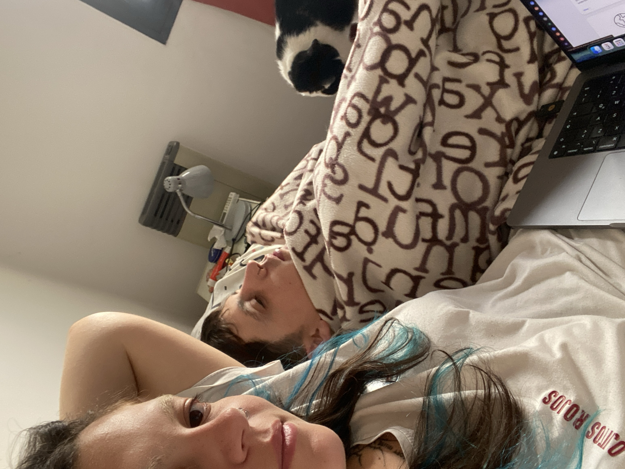 Lazy afternoon indoors in Villa Carlos Paz with cats and laptops