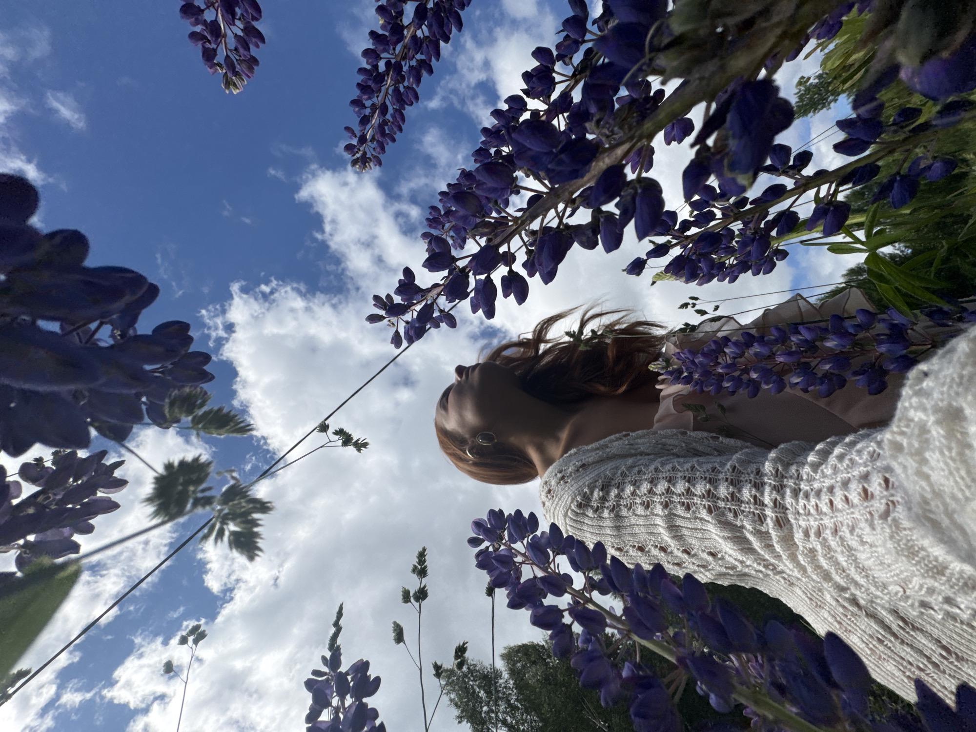 Woman photographed in purple lupine field in Chaikovsky, Russia