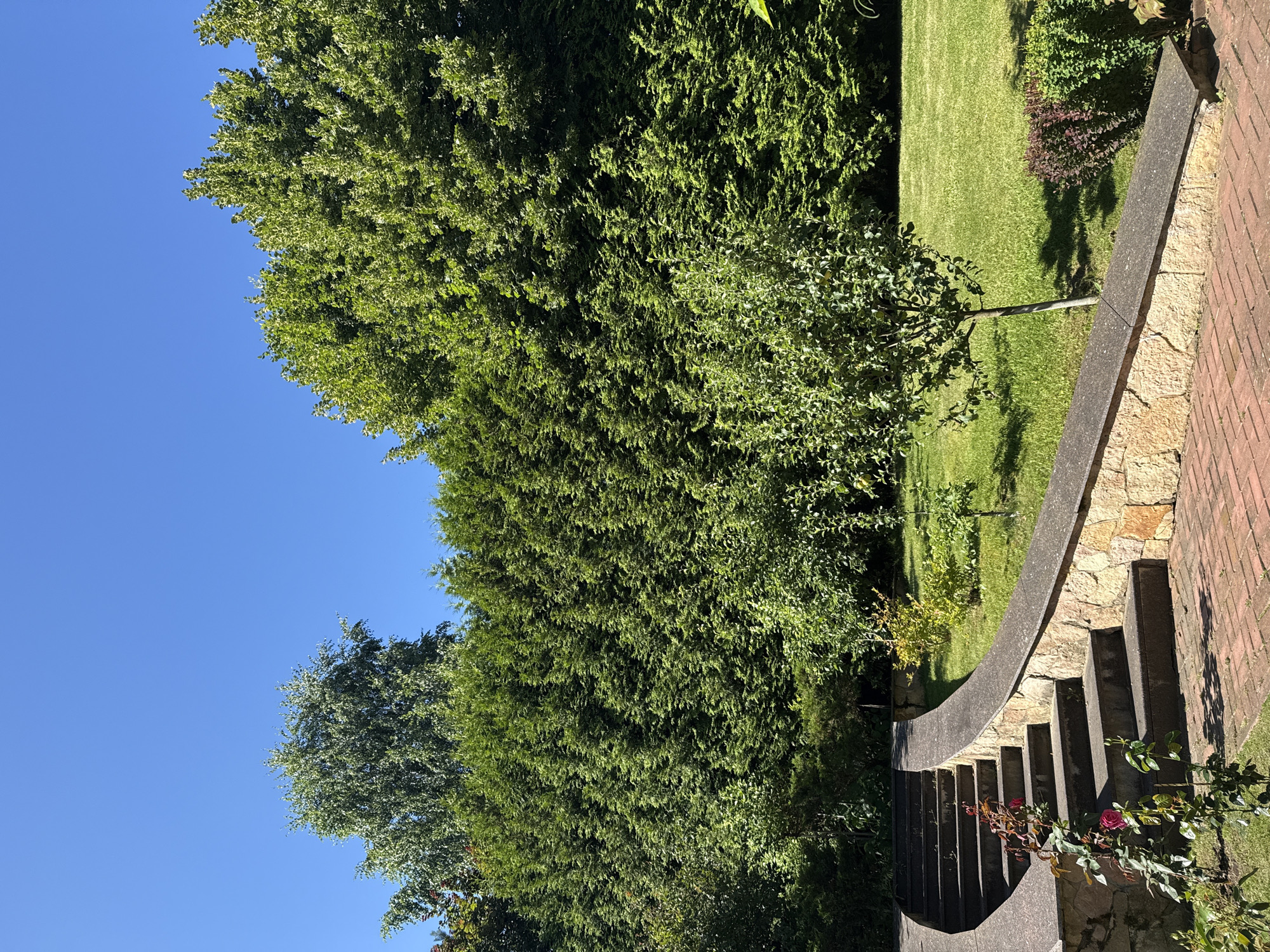 Summer morning walkthrough of a large garden estate in Yukki