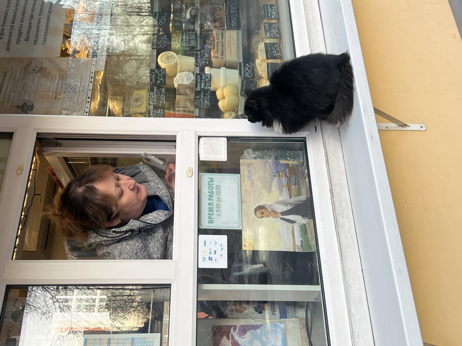Tourist captures winter day tour of Saint Petersburg landmarks