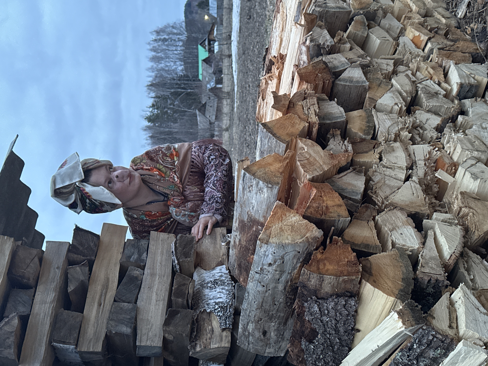Rural Russians chop firewood in village of Вассята