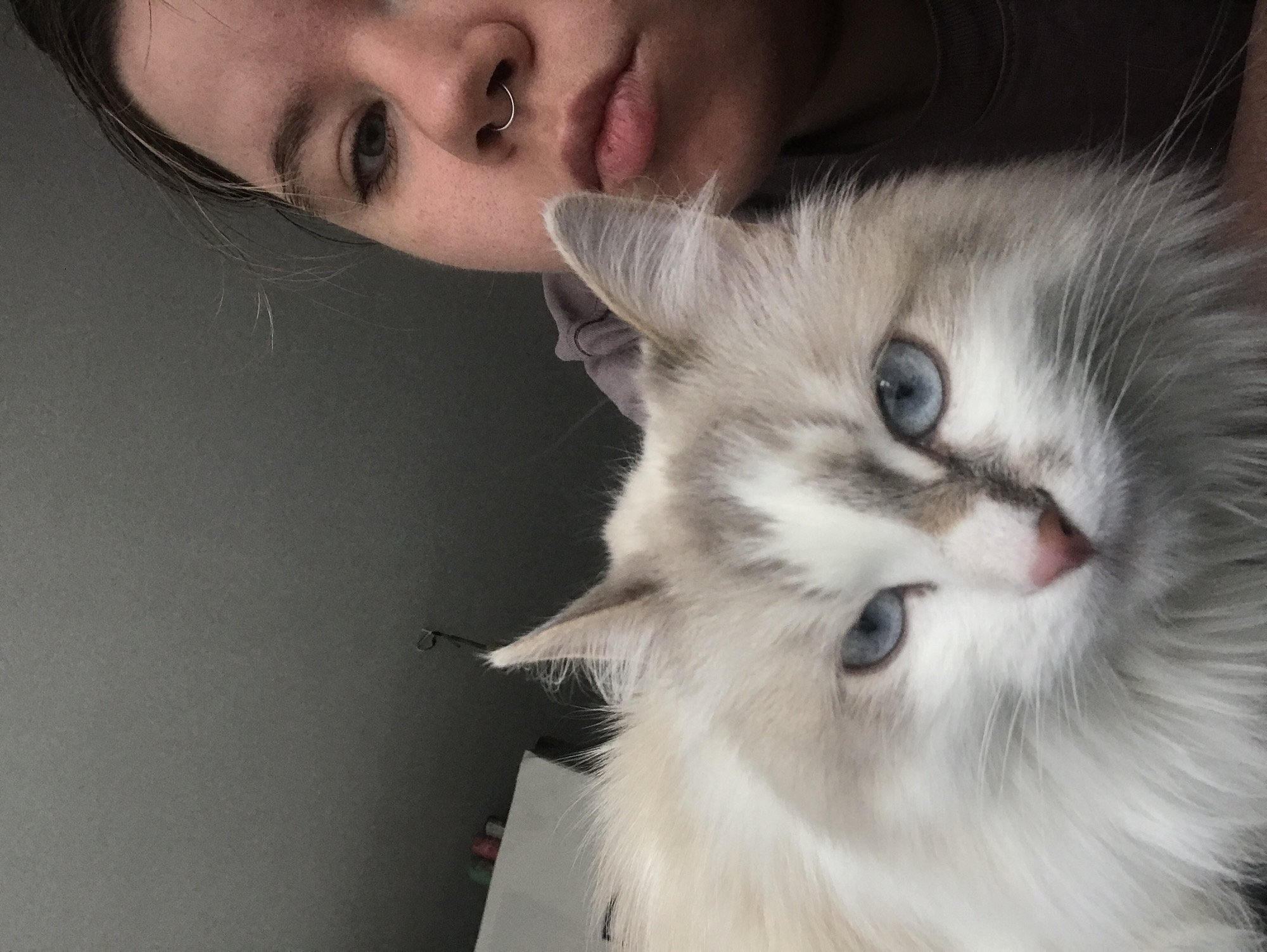 Domestic moments with cat, guitar, and artwork documented