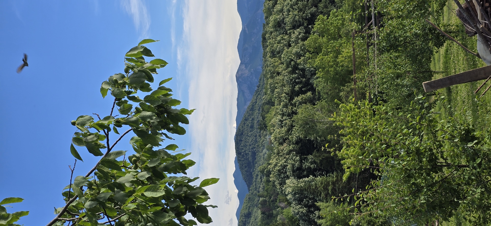 Lazy afternoon at a rural spot near the Vratsa mountains