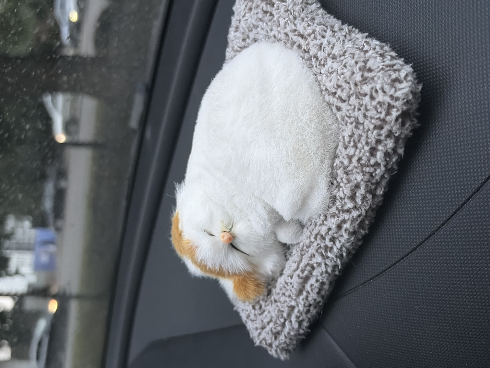 Plush cat naps on a dashboard pillow rolling through Almaty