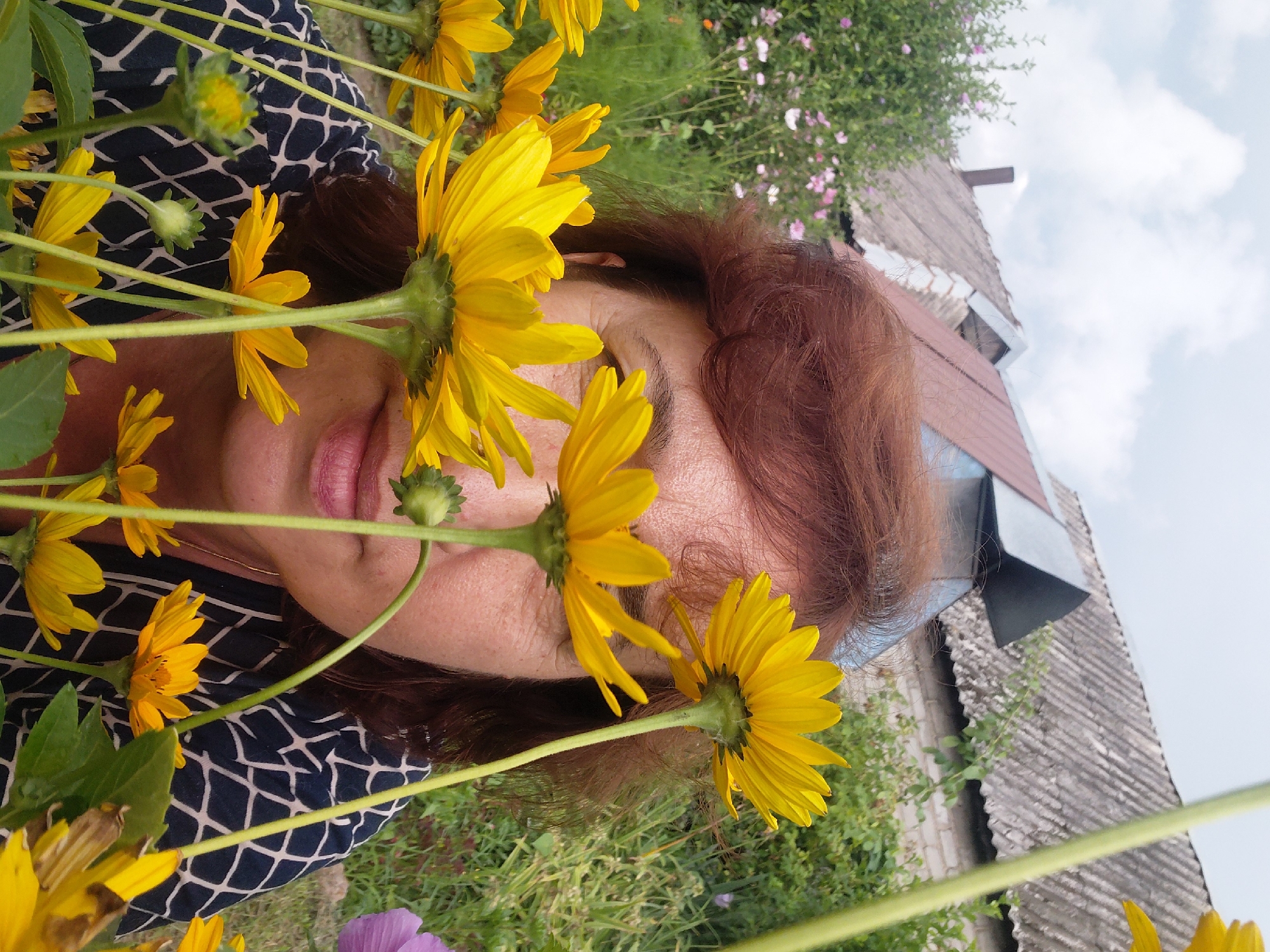 Afternoon in the garden: flowers, a ginger cat, and greenery