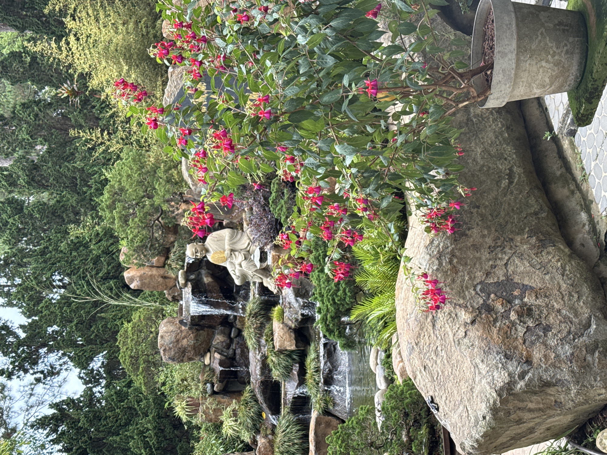 Early morning visit documented at Da Lat monastery gardens