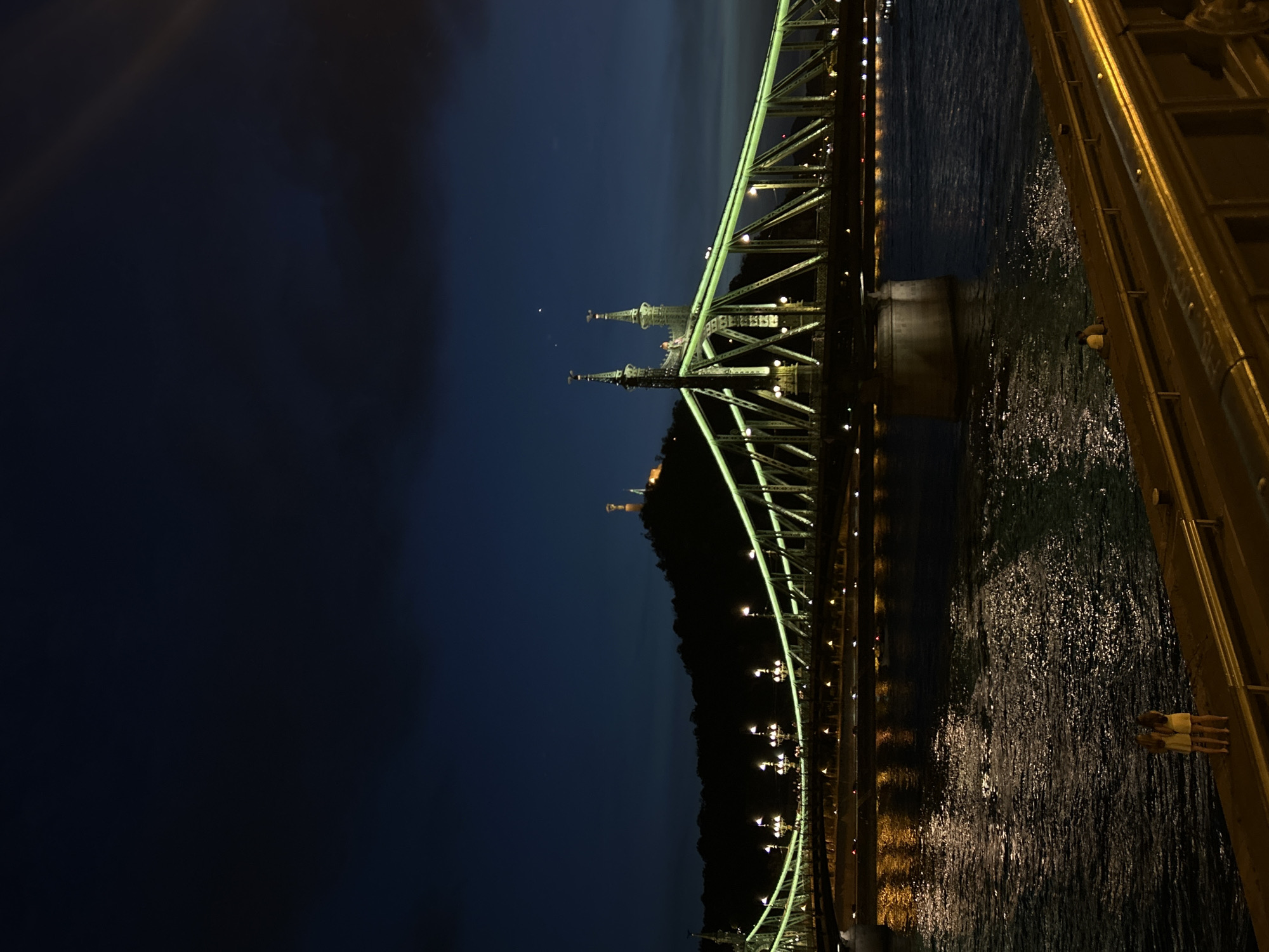 Budapest evening documentation captures Liberty Bridge, Danube views