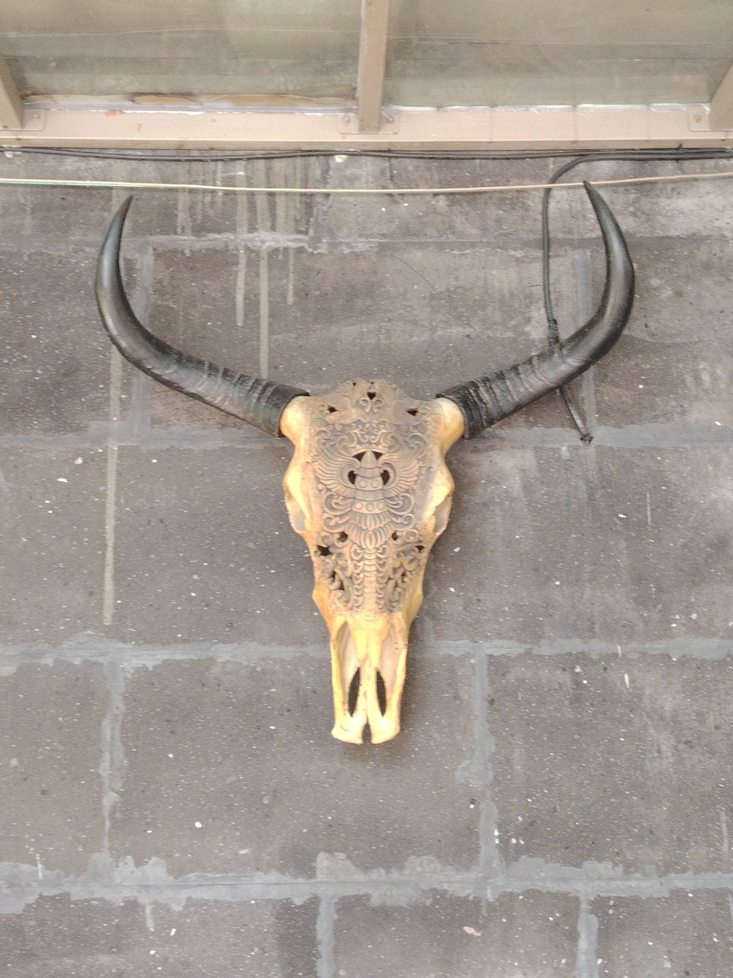 Decorated bull skull and torta sandwiches observed in Yerevan