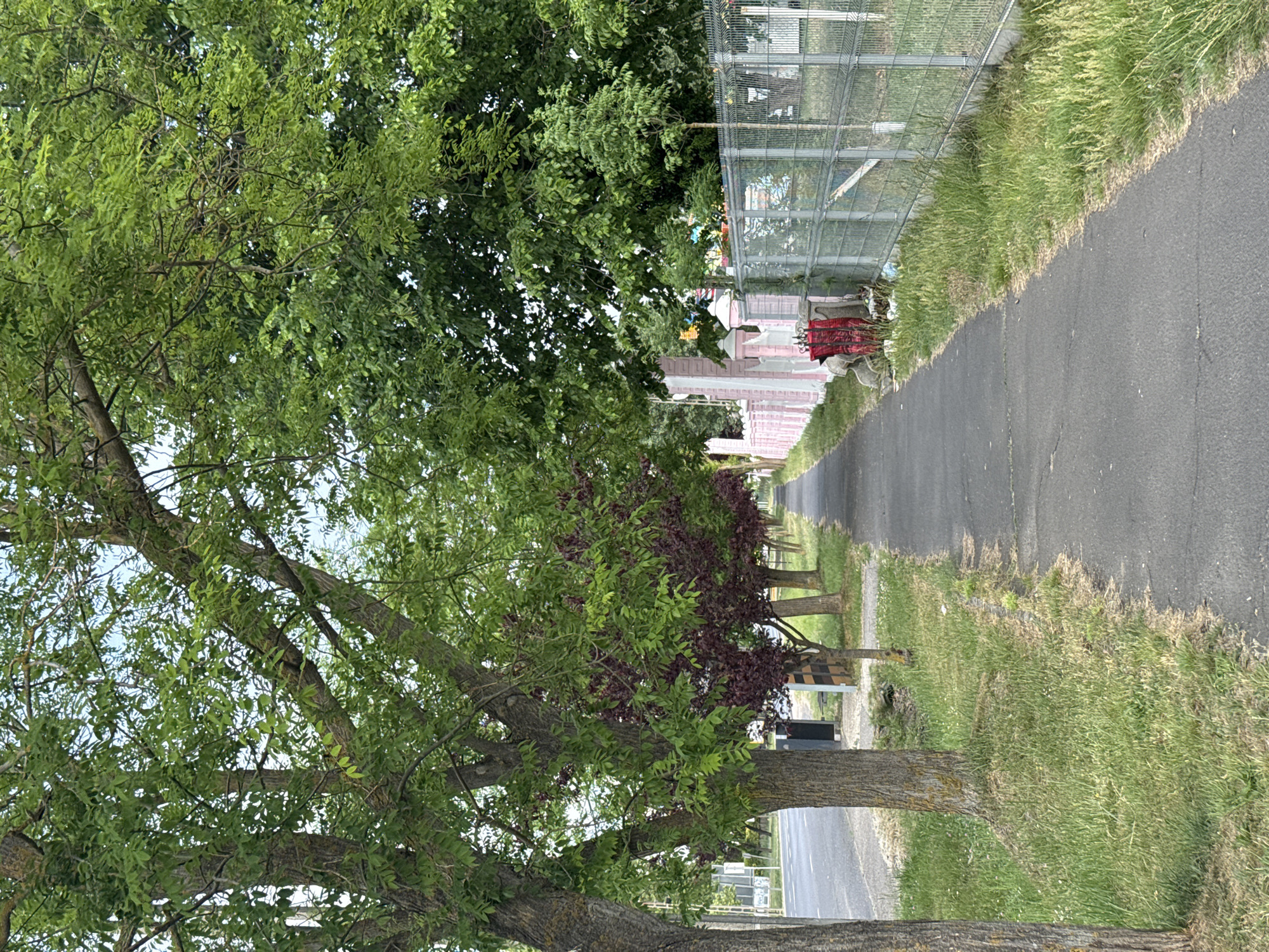 Residential street scene documented in Balatonlelle, Hungary