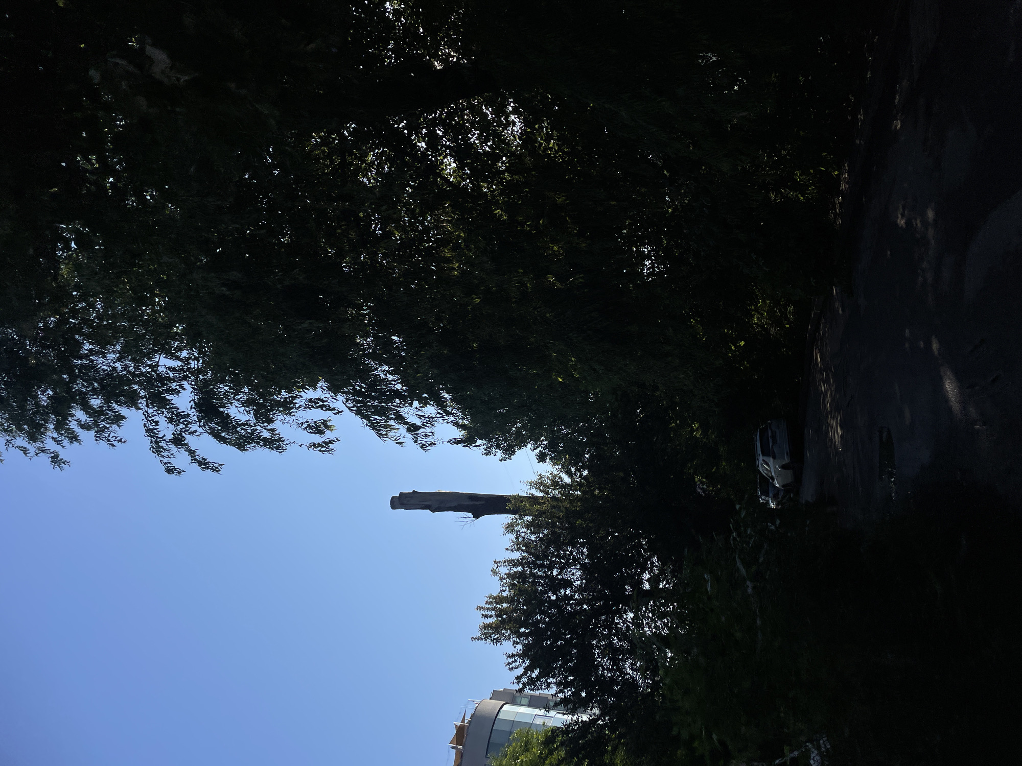 Morning walk documented through eight scenes over four minutes