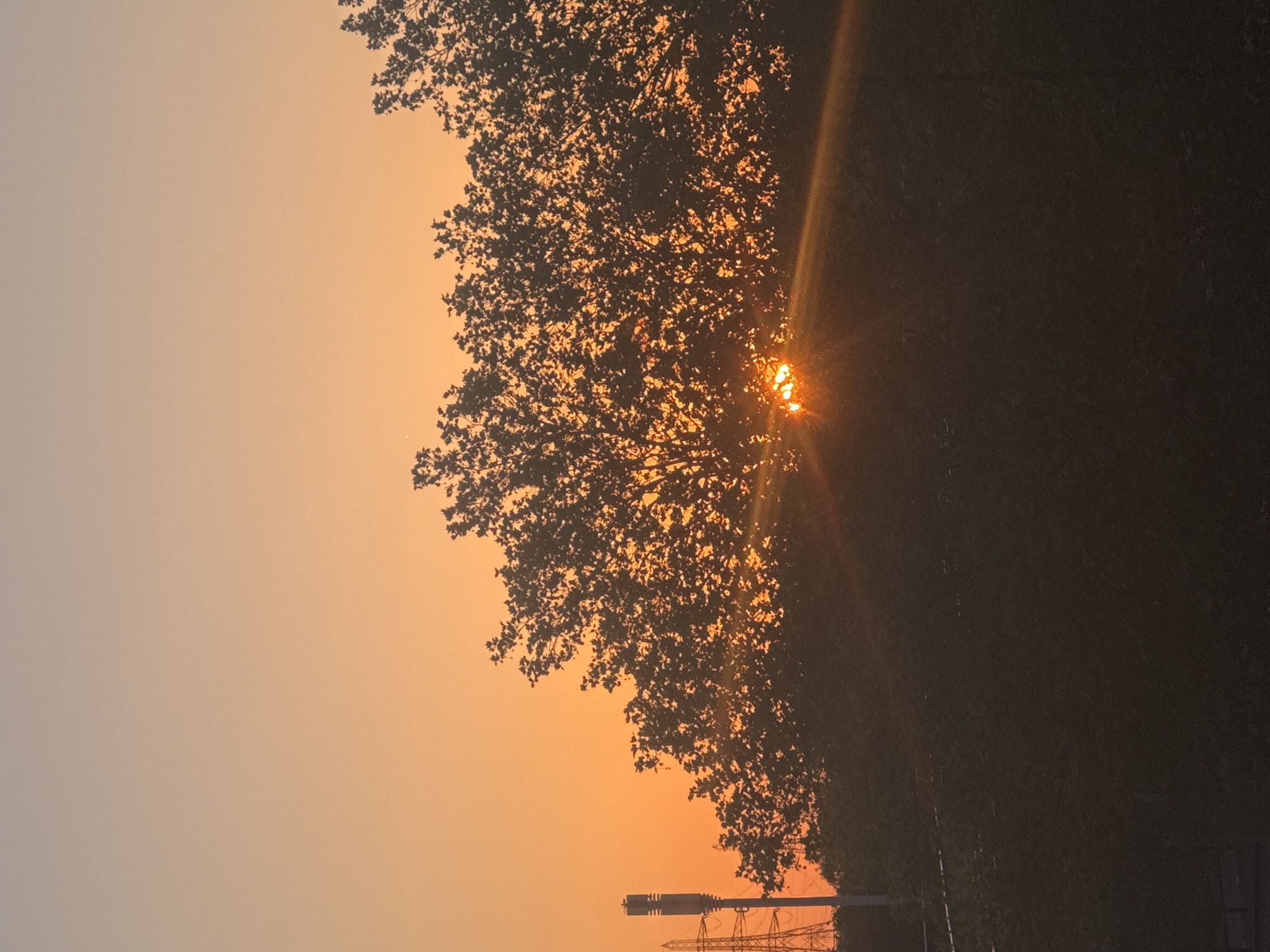 Dawn captured across Newham landscape by multiple witnesses