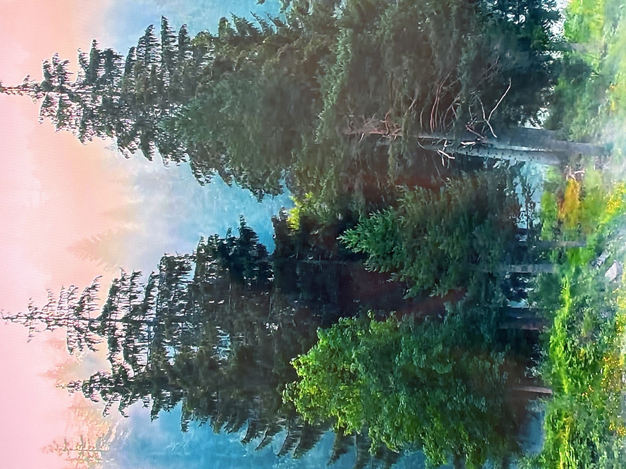 Eclectic morning mix: forests, motorcycles, and a cat in Krasnokamsk