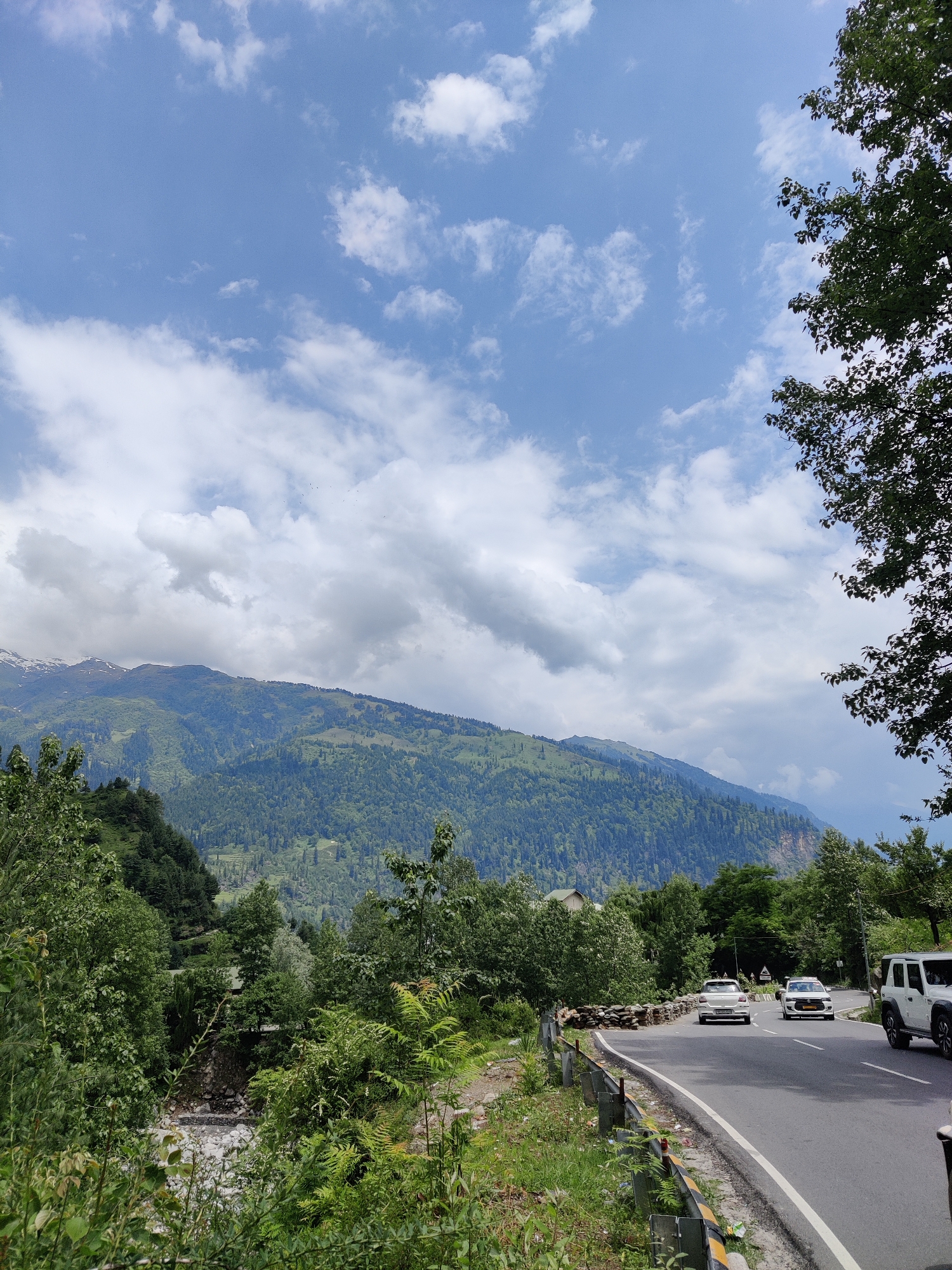 Solang Valley village life, forest trails, and a school morning