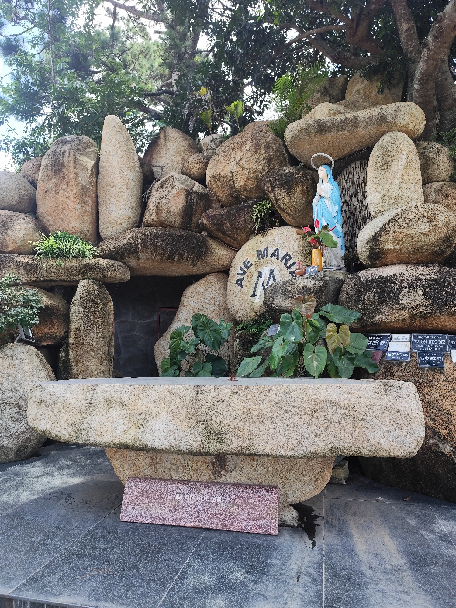 Exploring Da Lat's religious sites and gardens at dawn