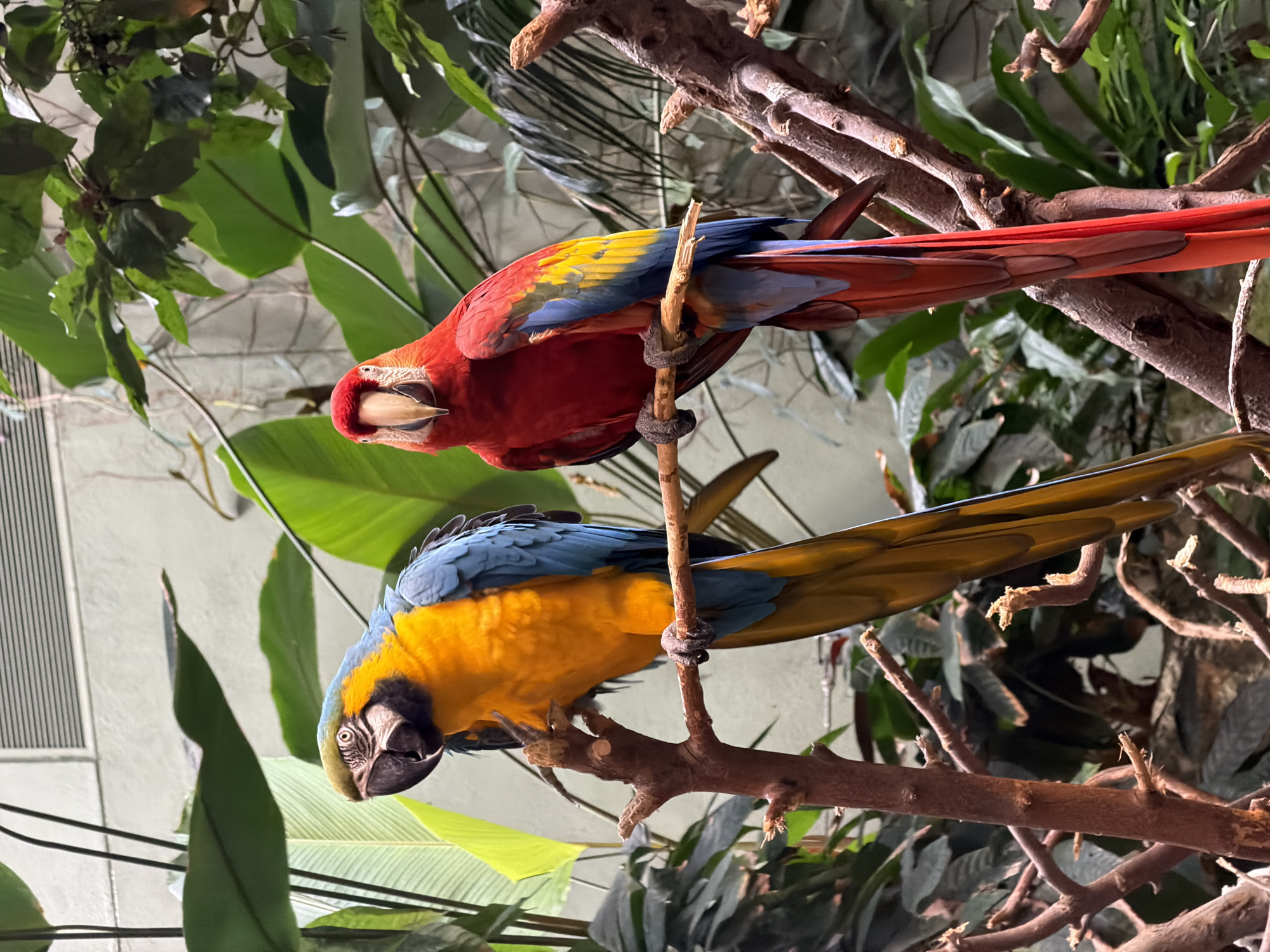 Visitors document diverse wildlife at Montreal Biodome exhibits