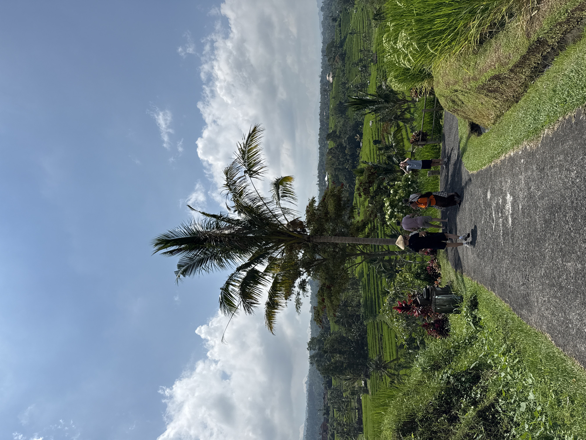 Daily life documented in Penebel's rice terraces and pathways
