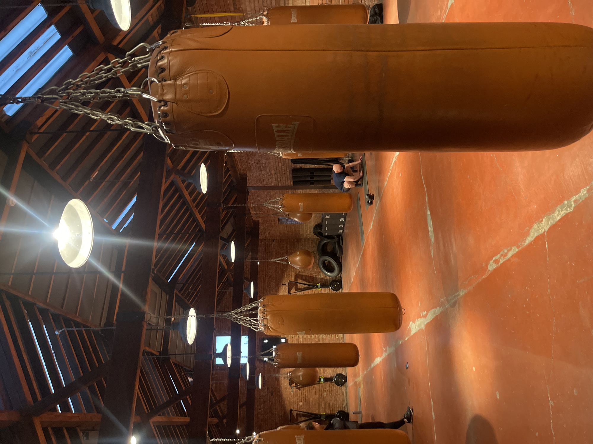 Boxing gym with leather punching bags observed in London