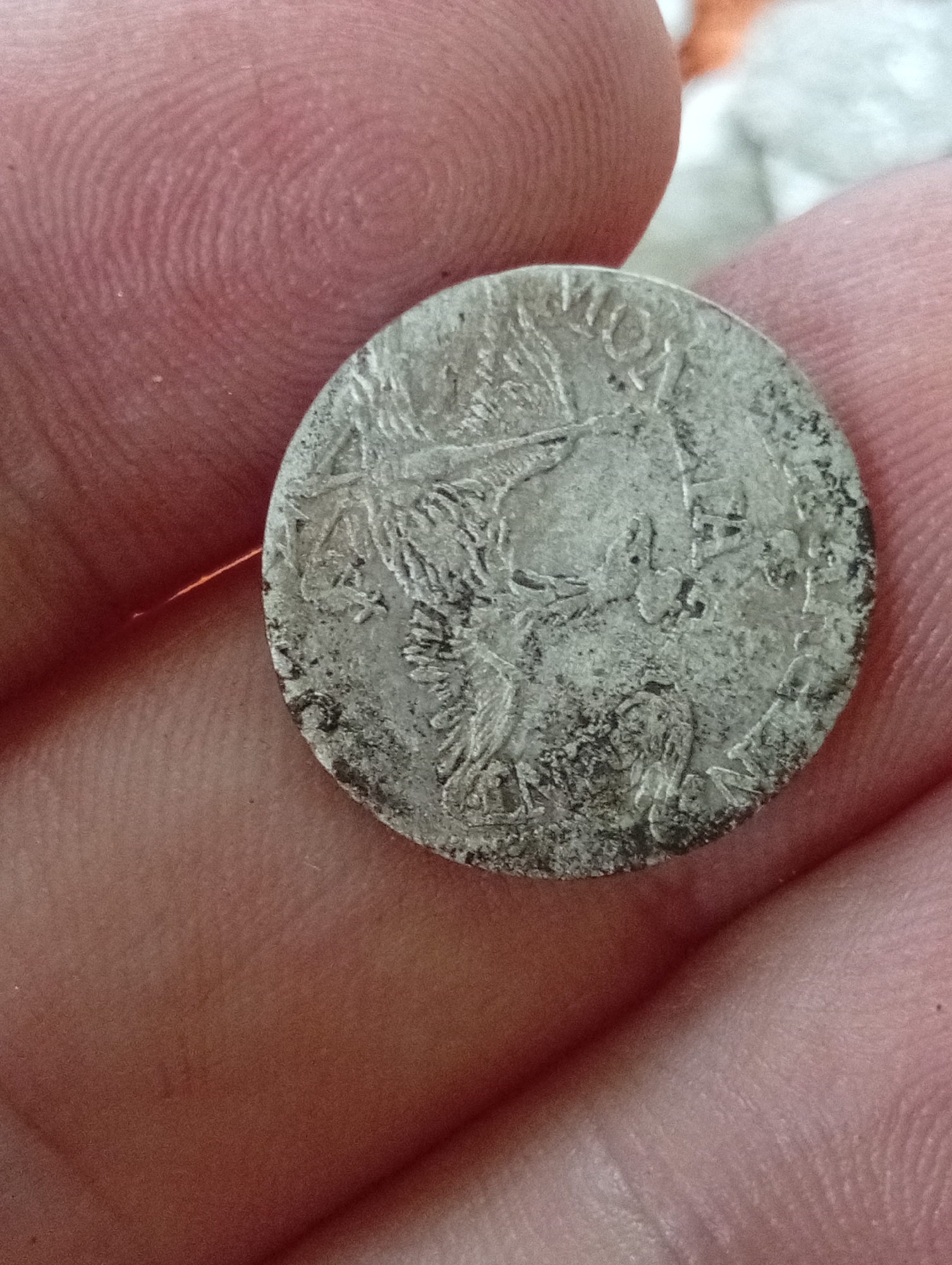 Historical coin collection examined in rural Lithuania village