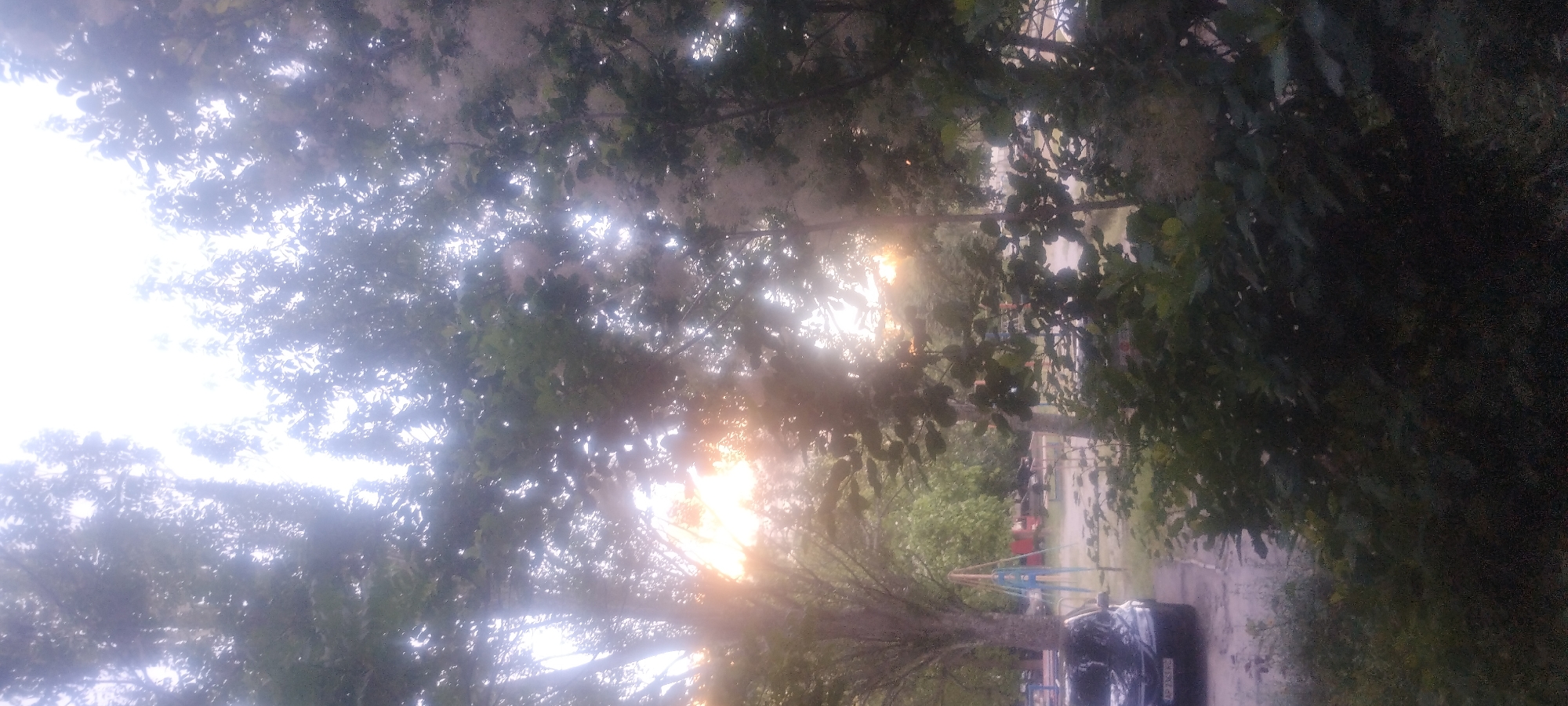 Wrenches, coffee, lighters, and a playground at sunset