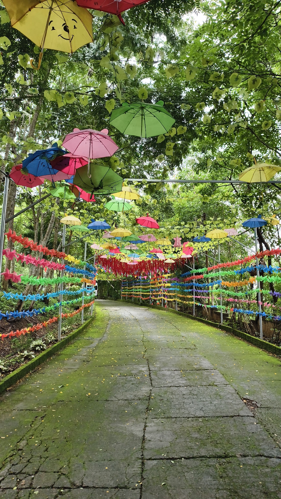 Inside the ornate grounds of Pongour Waterfall, Tân Phú