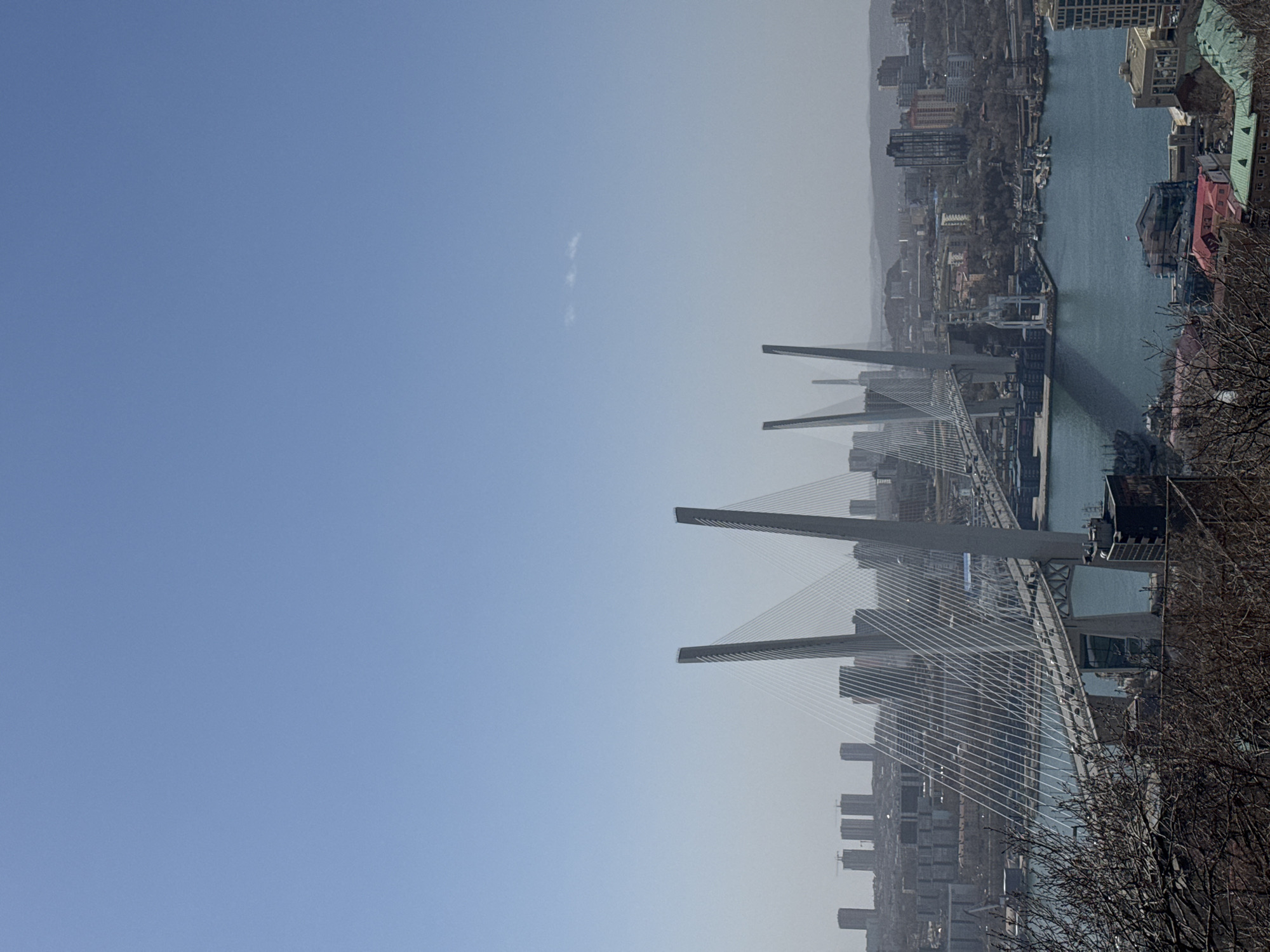 Panoramic view captured of Vladivostok's Golden Bridge and bay