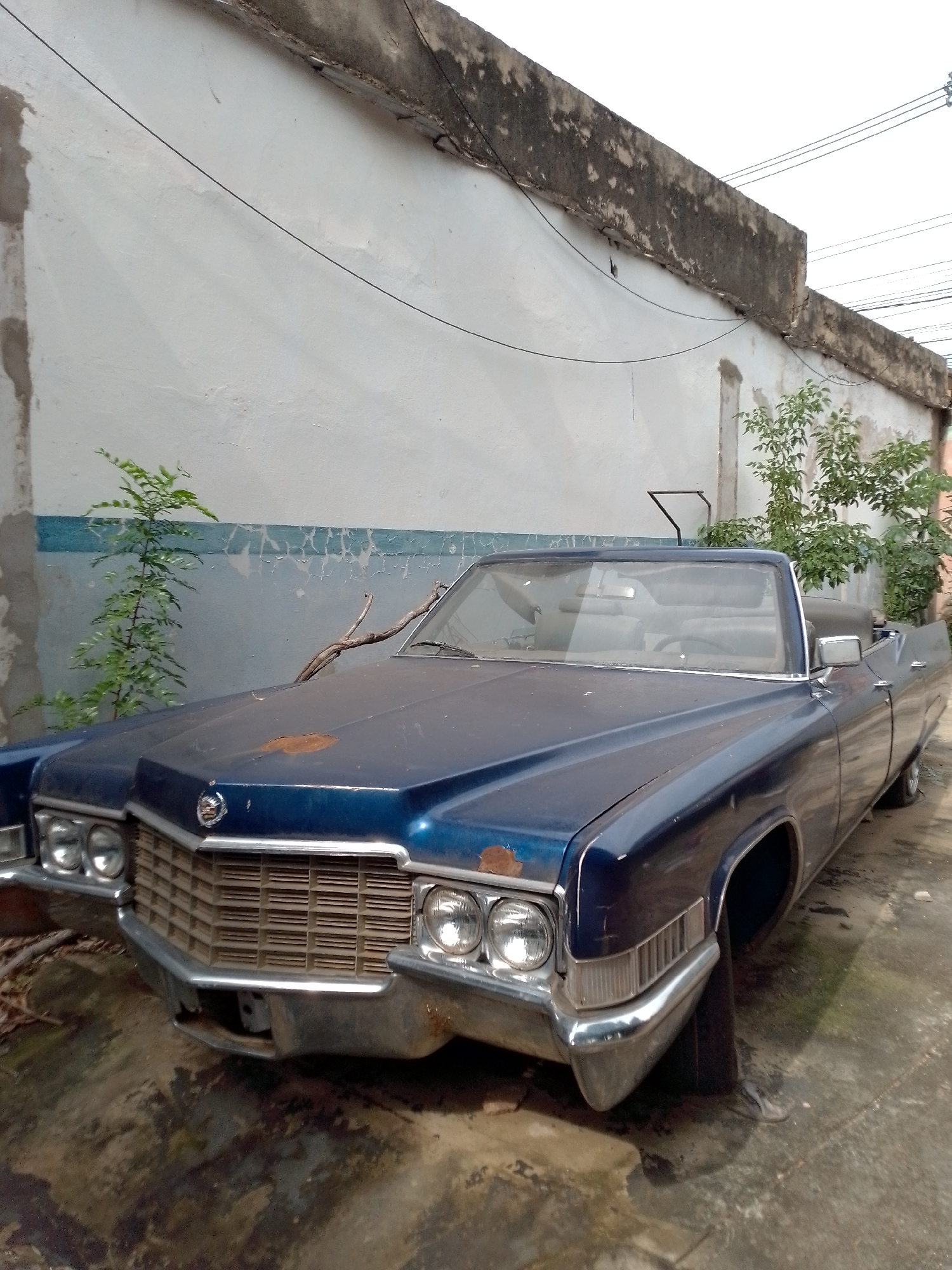 Witness documents Asuncion's urban landscape, zoo, abandoned infrastructure
