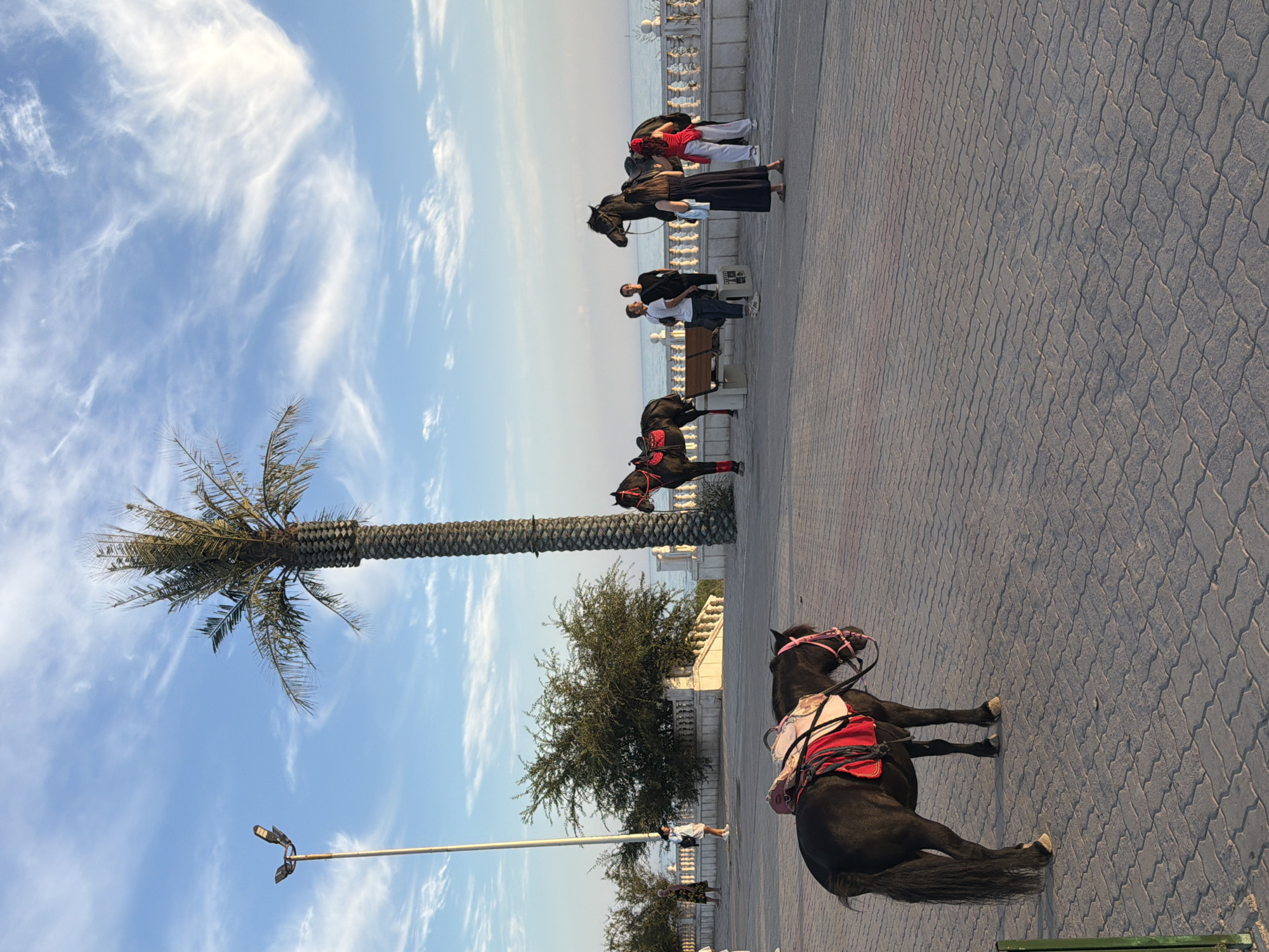 Black horse in red tack on Aktau's Caspian seafront promenade
