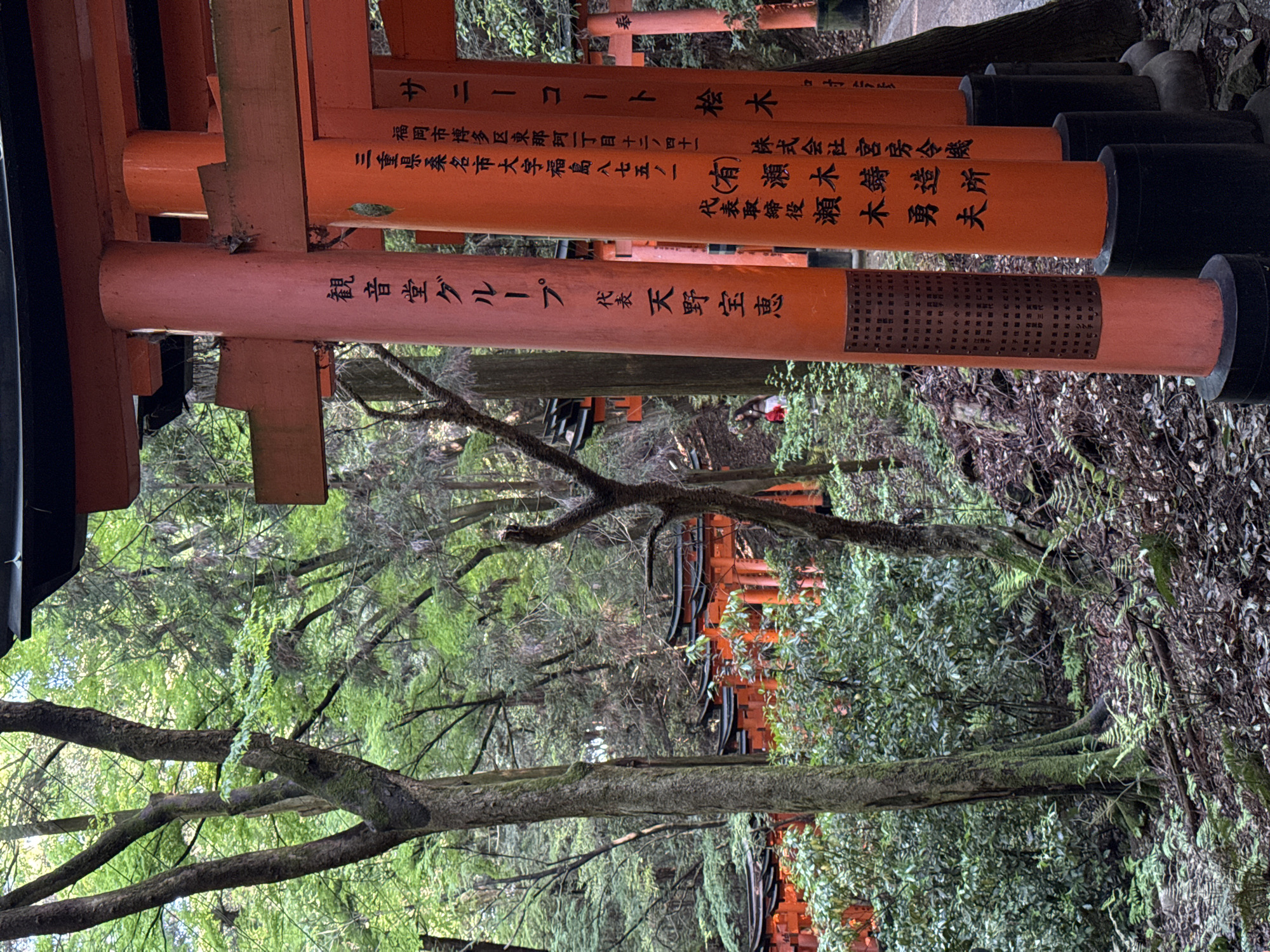 Visitor captures Fushimi Inari shrine's iconic torii pathway in Kyoto