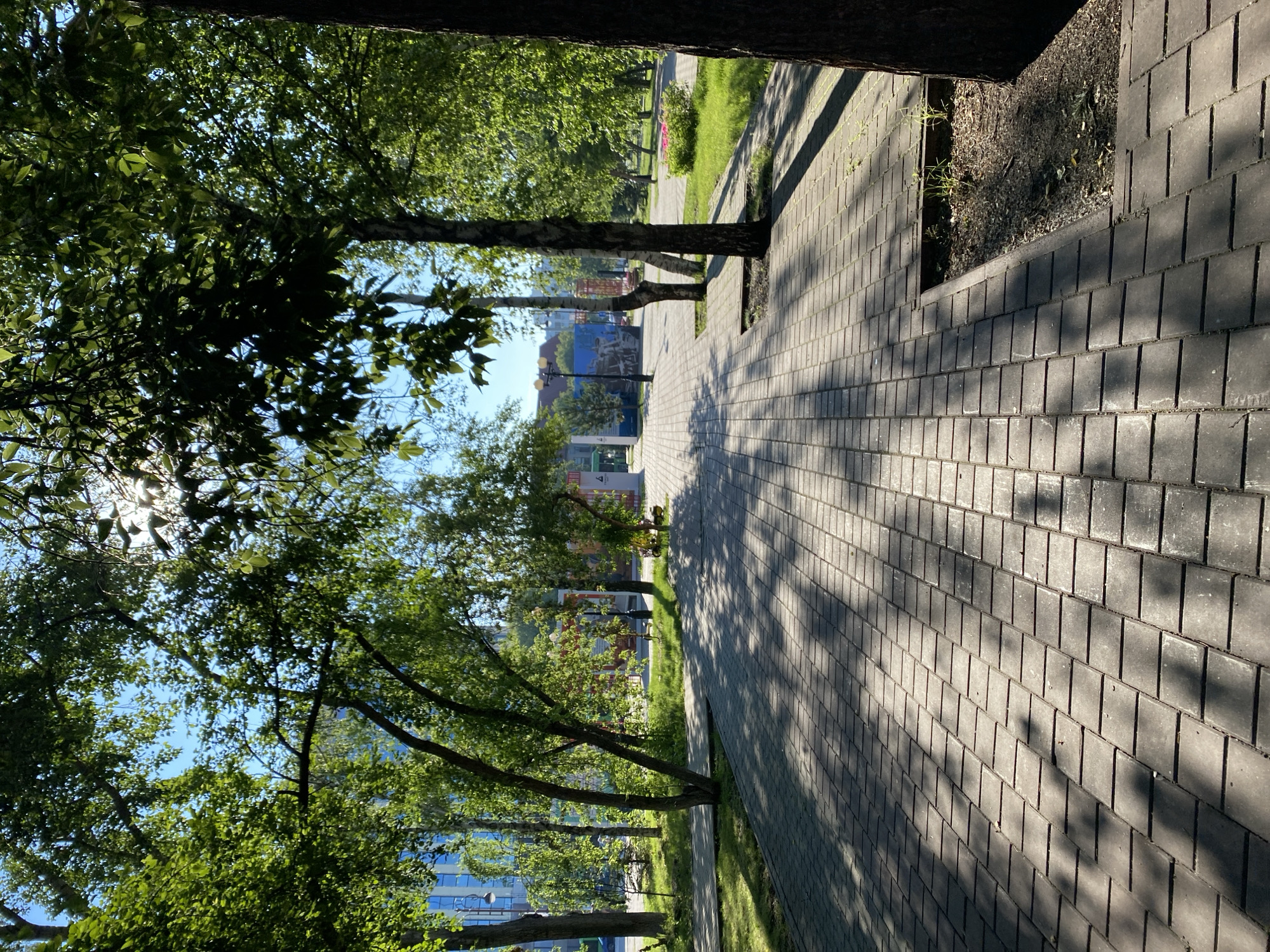 Park walks, flower beds, and a bus ride through a Russian city