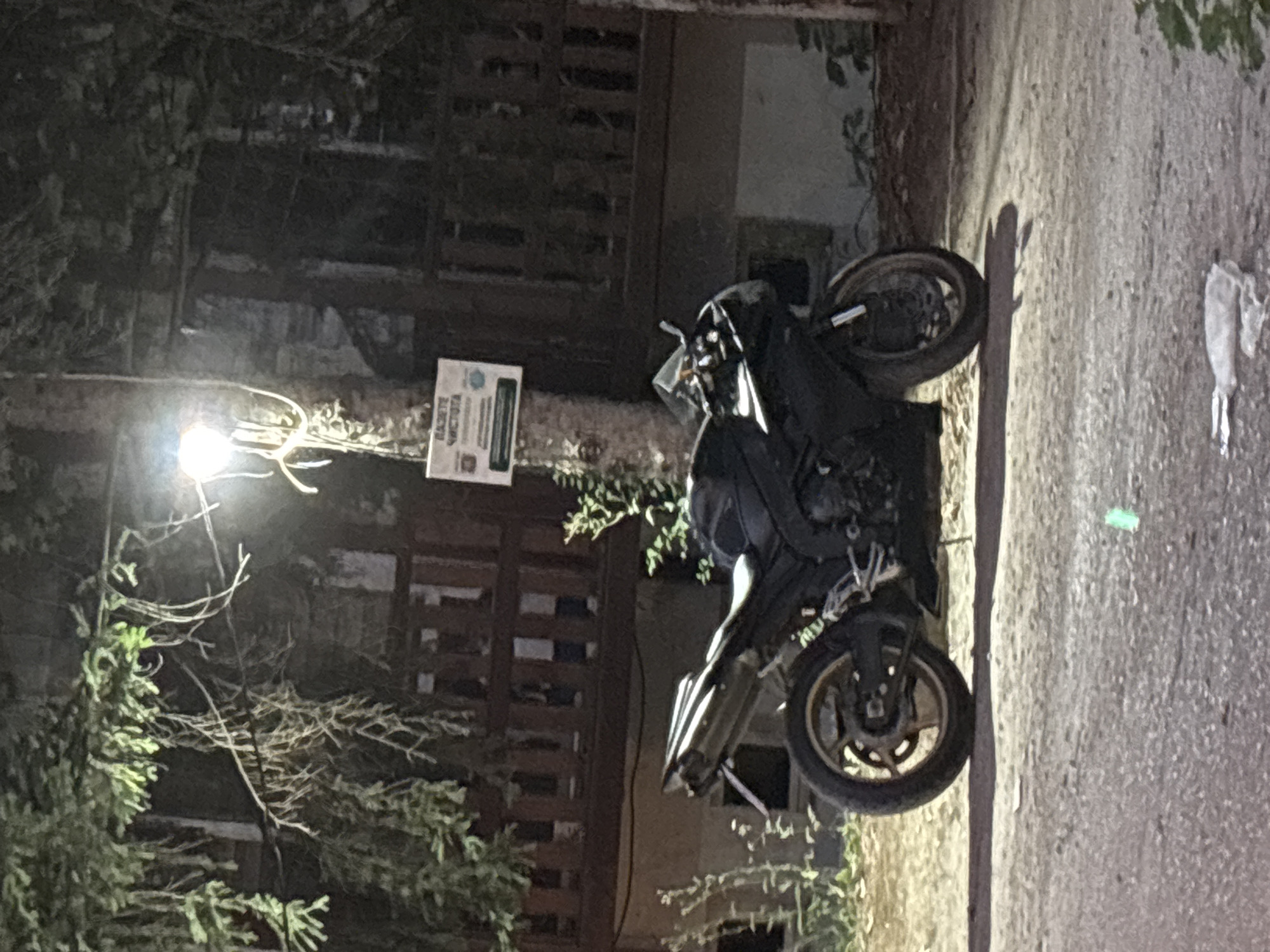 Motorcycle and dog outing, two stops, one afternoon