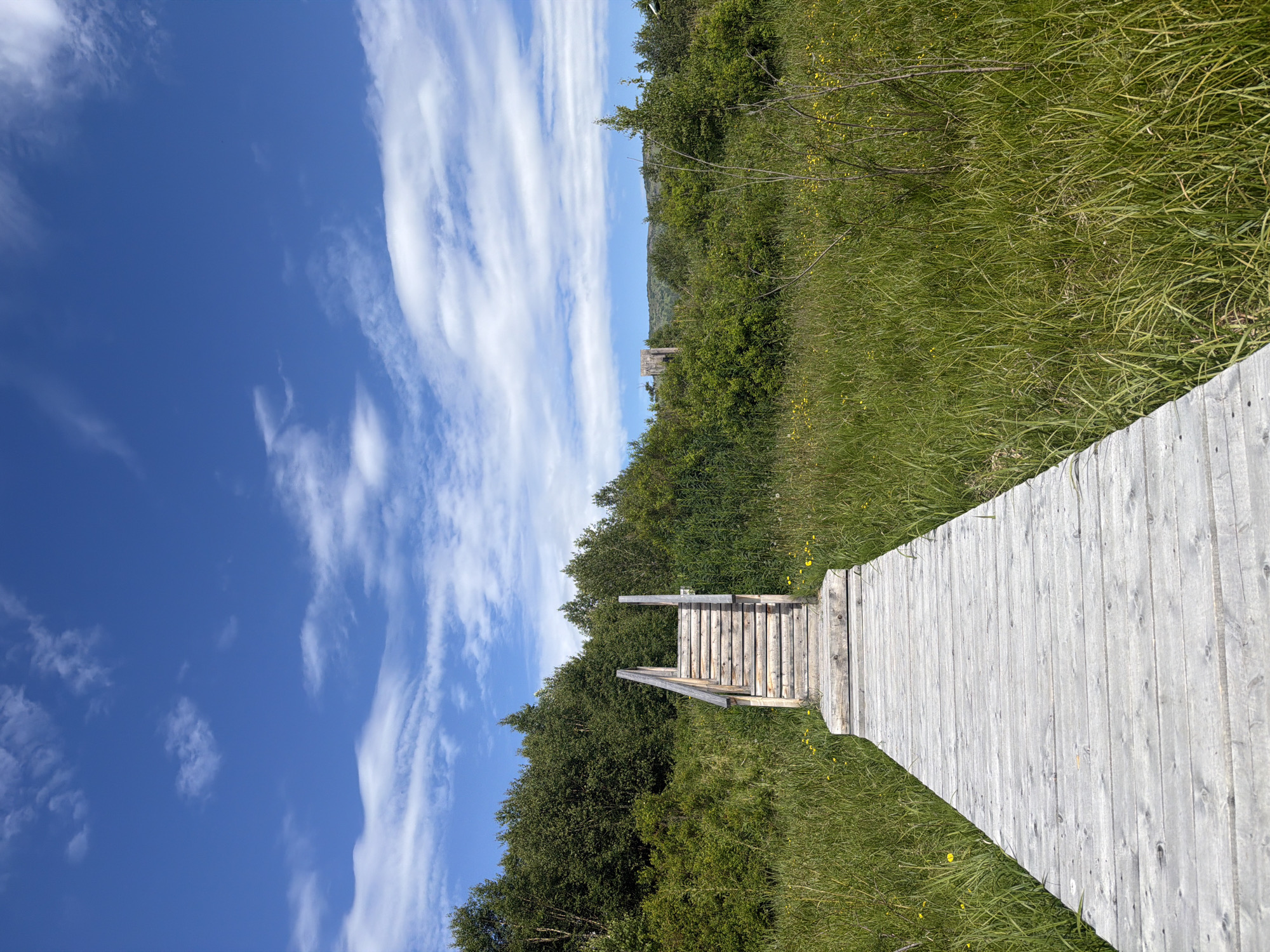 Boardwalks, forest trails, and string lights in Kamchatka's Esso