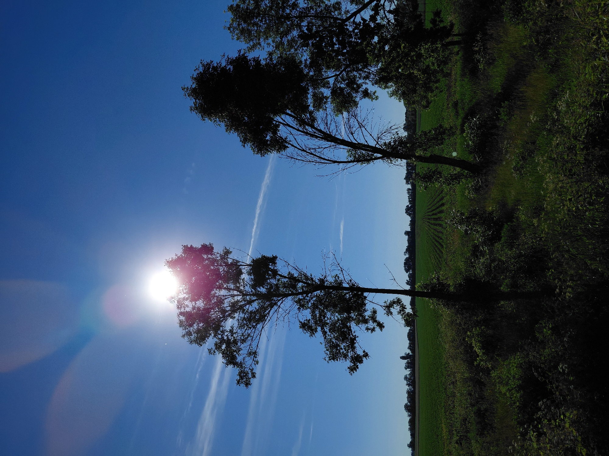 Rural Ukraine countryside documented in clear morning sunlight