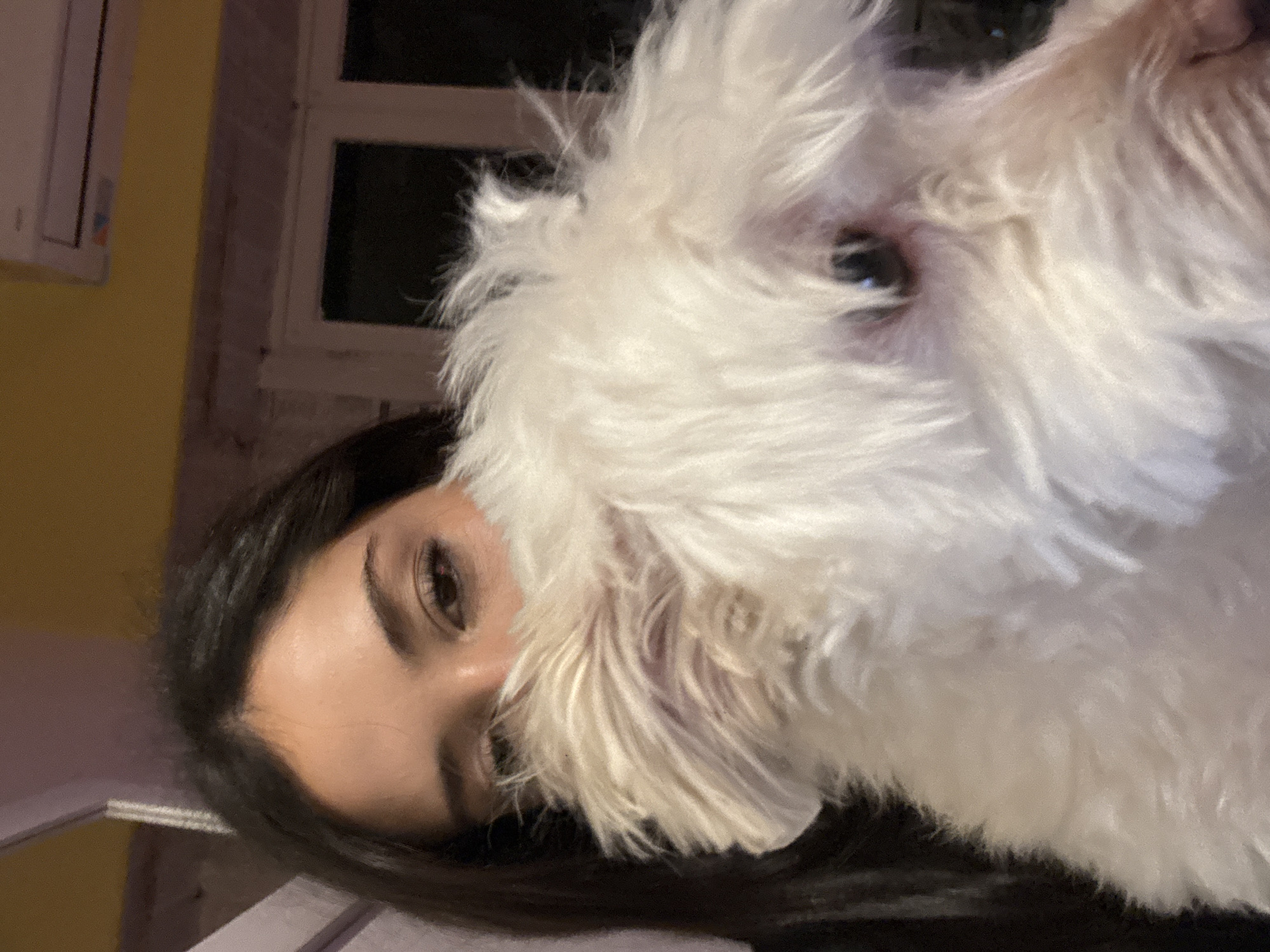 Woman with white dog and rabbit spotted in Buenos Aires home