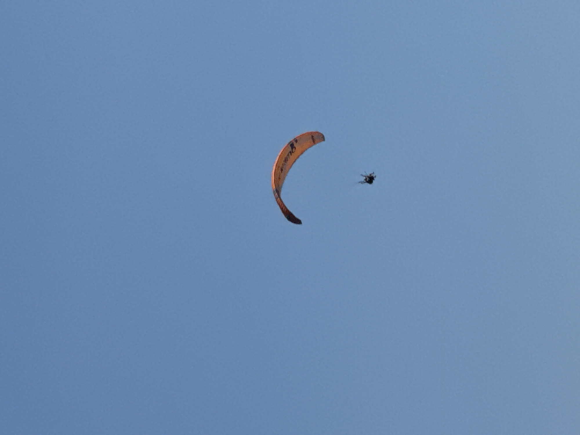 Paragliders and sailboats share a clear day over the Adriatic