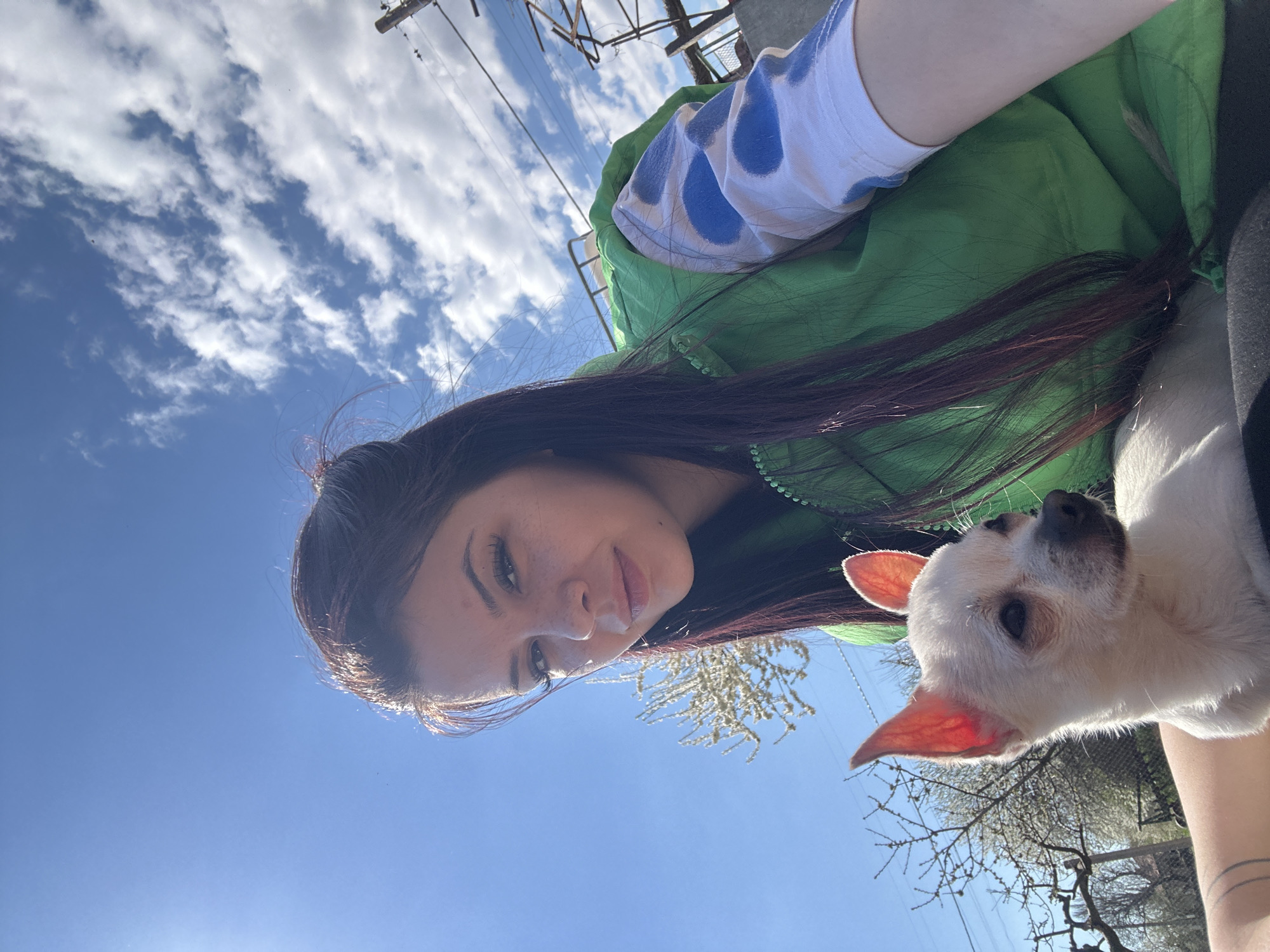 Woman takes selfies with Chihuahua puppy in Bulgaria