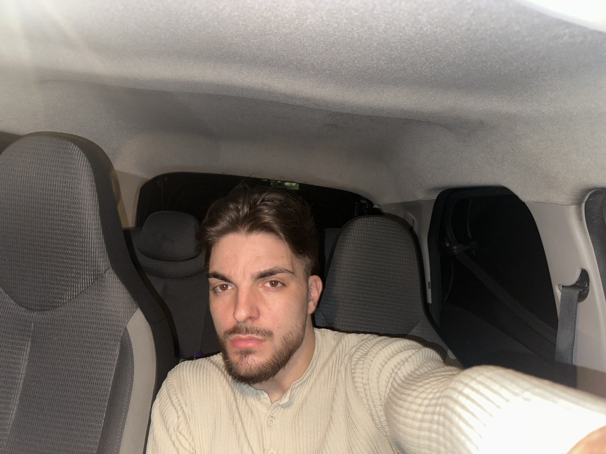 Young man takes selfies in car, bathroom near Rafz