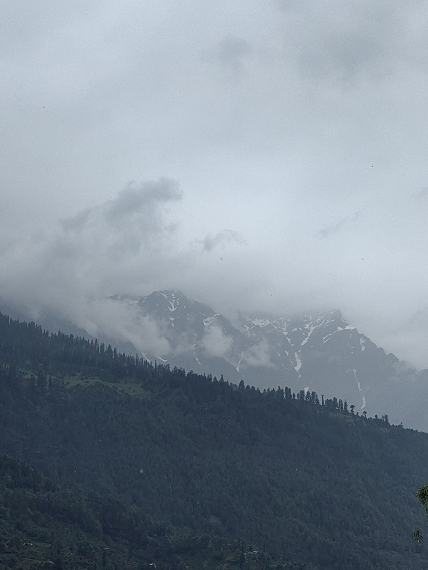 Misty morning in Vashisht — street food, fresh fruit, mountain fog