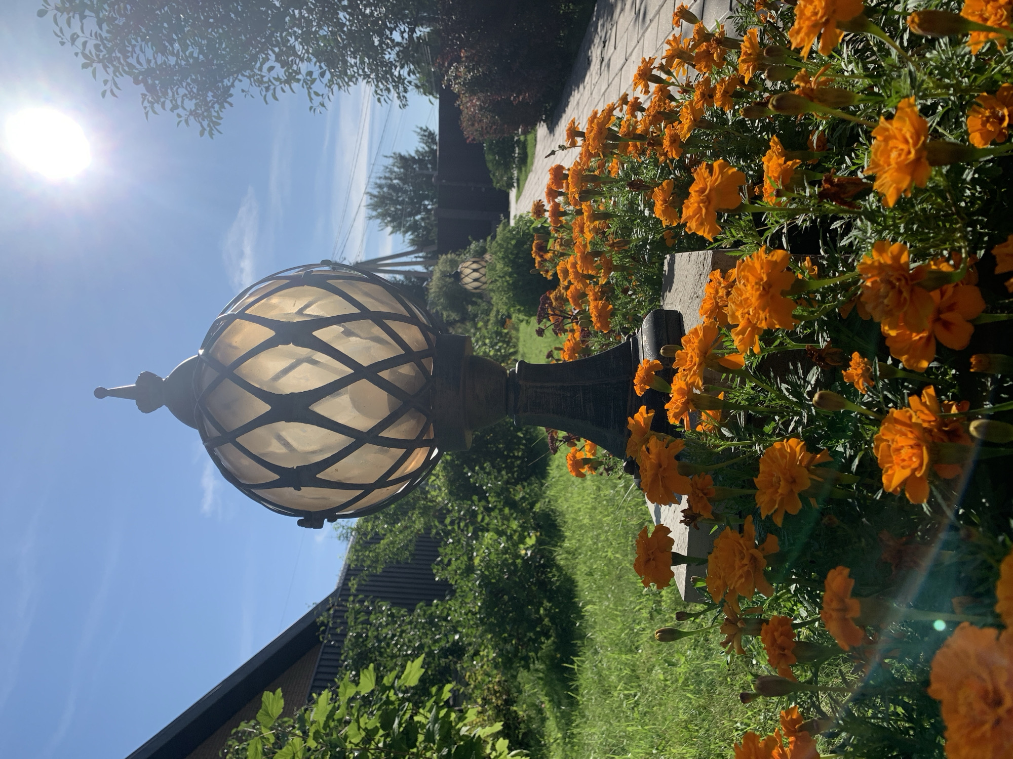 Late summer garden in full bloom, Rozhdestveno