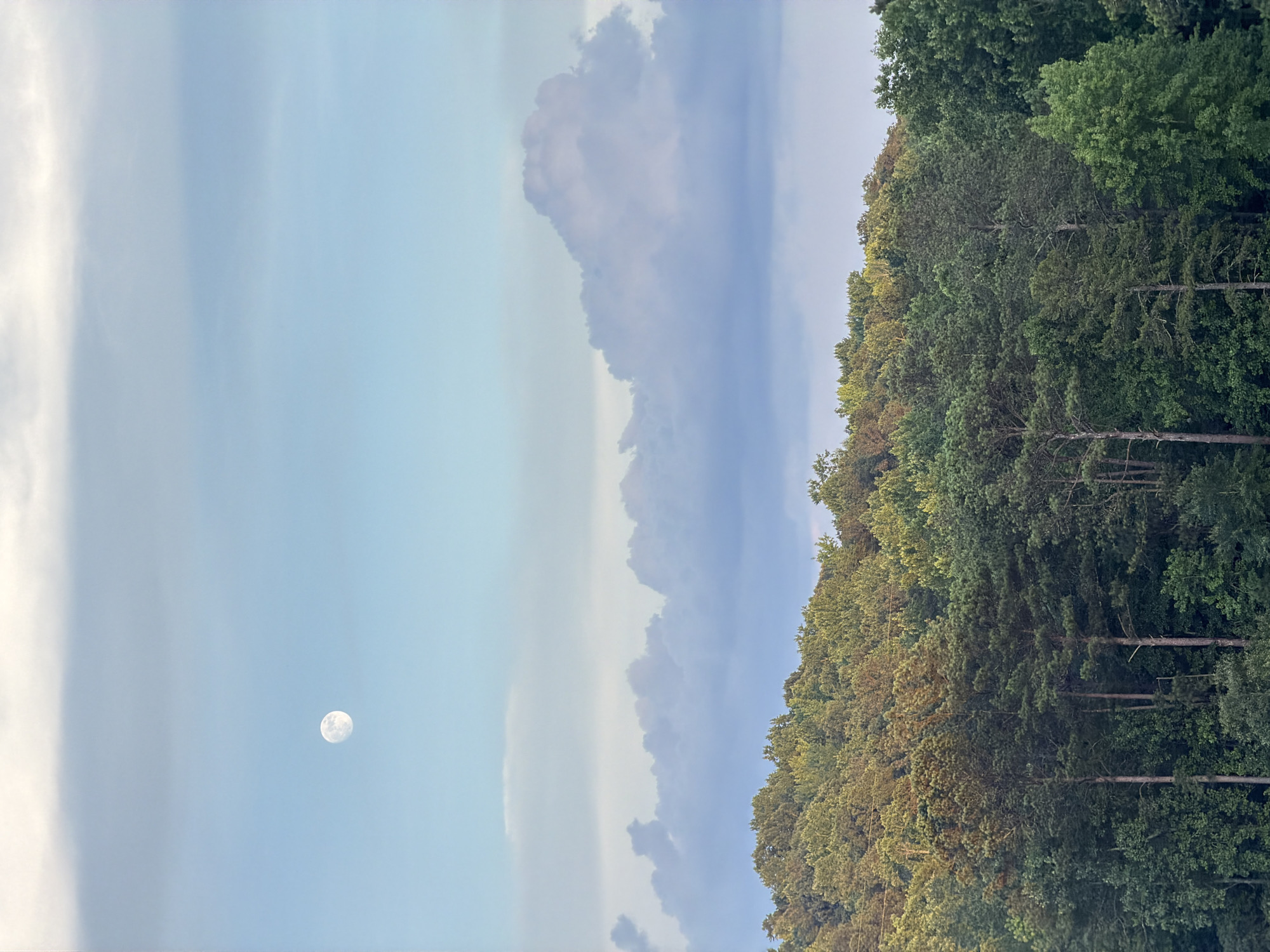 Moonlit forest and lakeside dusk in Sugar Hill, Georgia