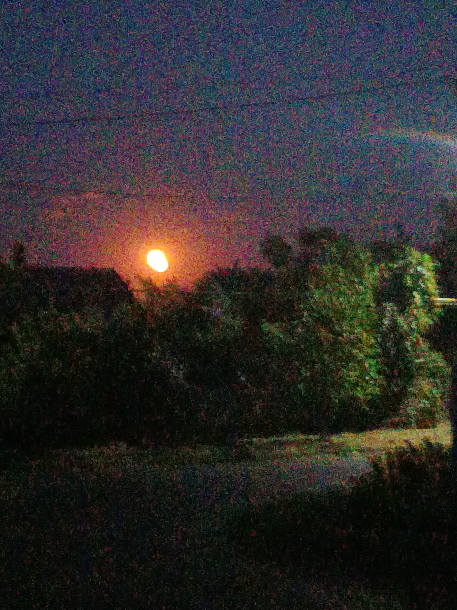 Twilight moth moment in Podilsk on a summer evening
