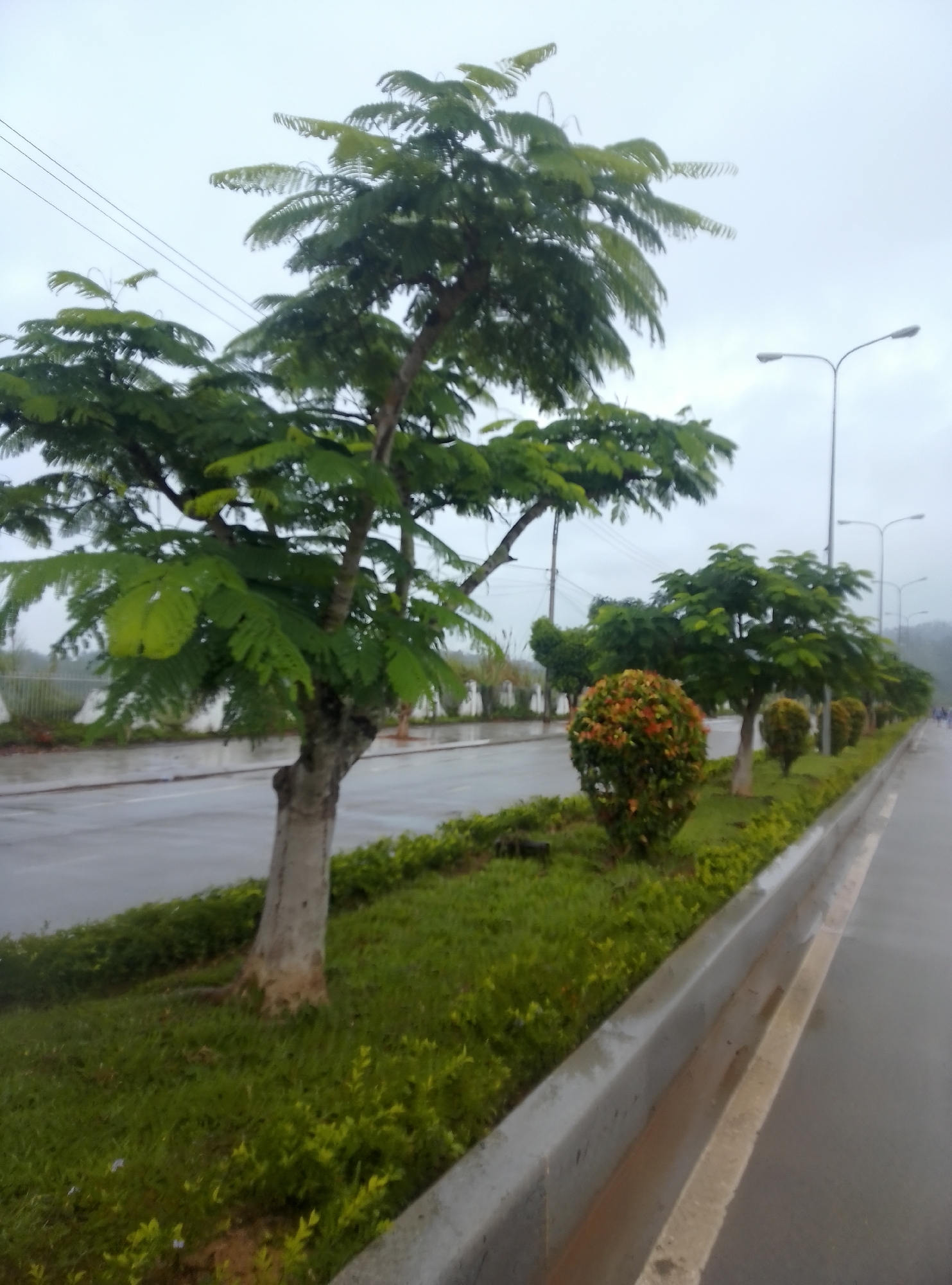 Wet roadside scene observed in Bo Y, Vietnam