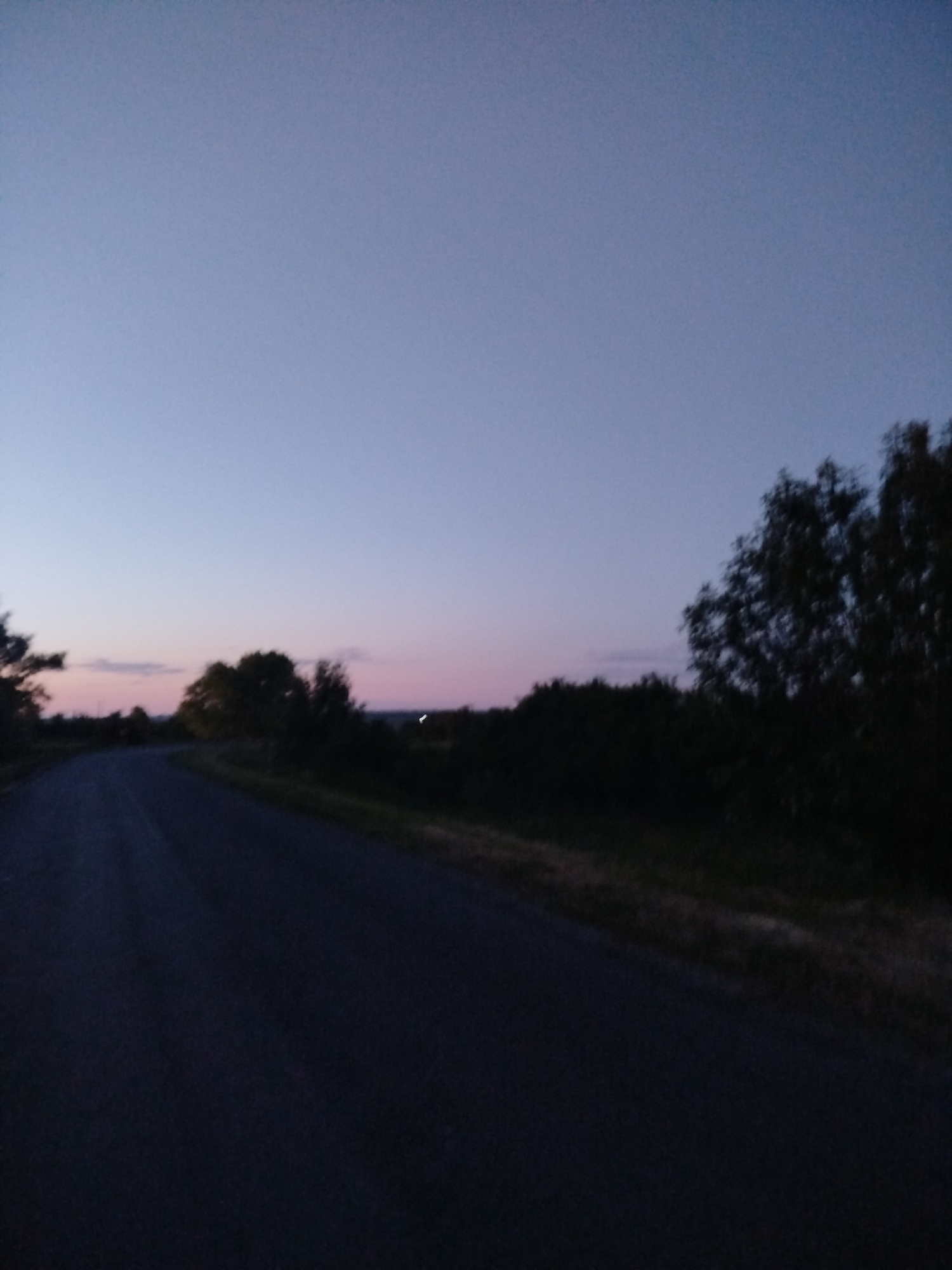 Rural Ukraine Evening: Roads, Wildlife, Gardens Documented in Ustyvytsia