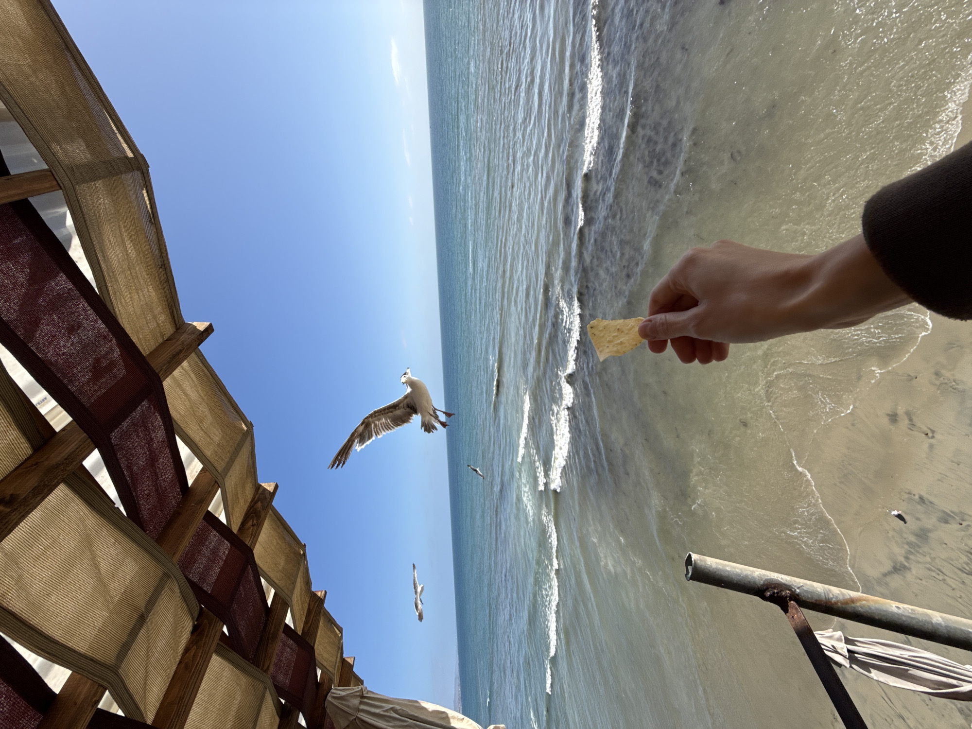 Clifftop dining, live music, and ocean views in Puerto Nuevo