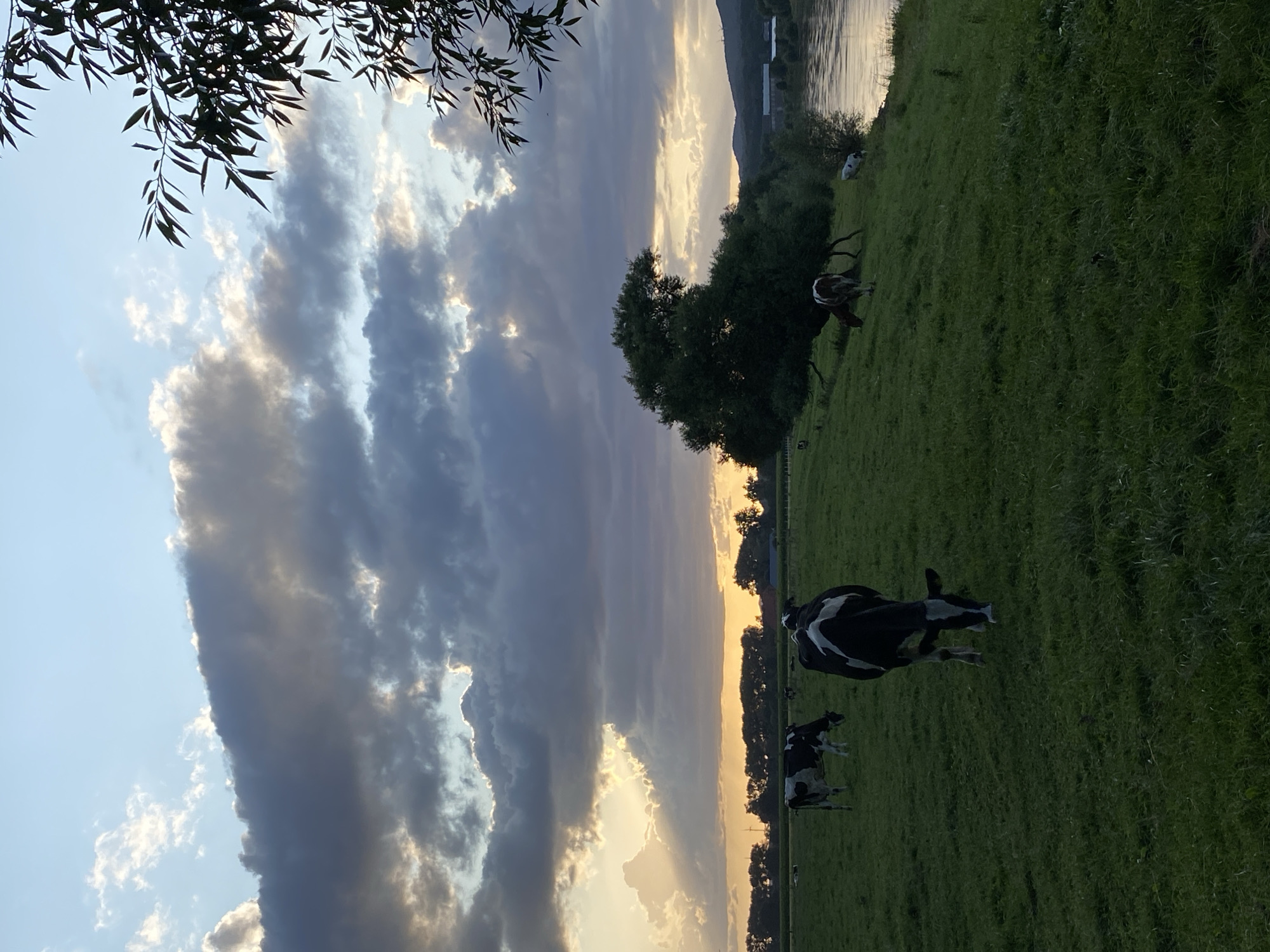 Stormy summer evening over the Weser River, Rinteln